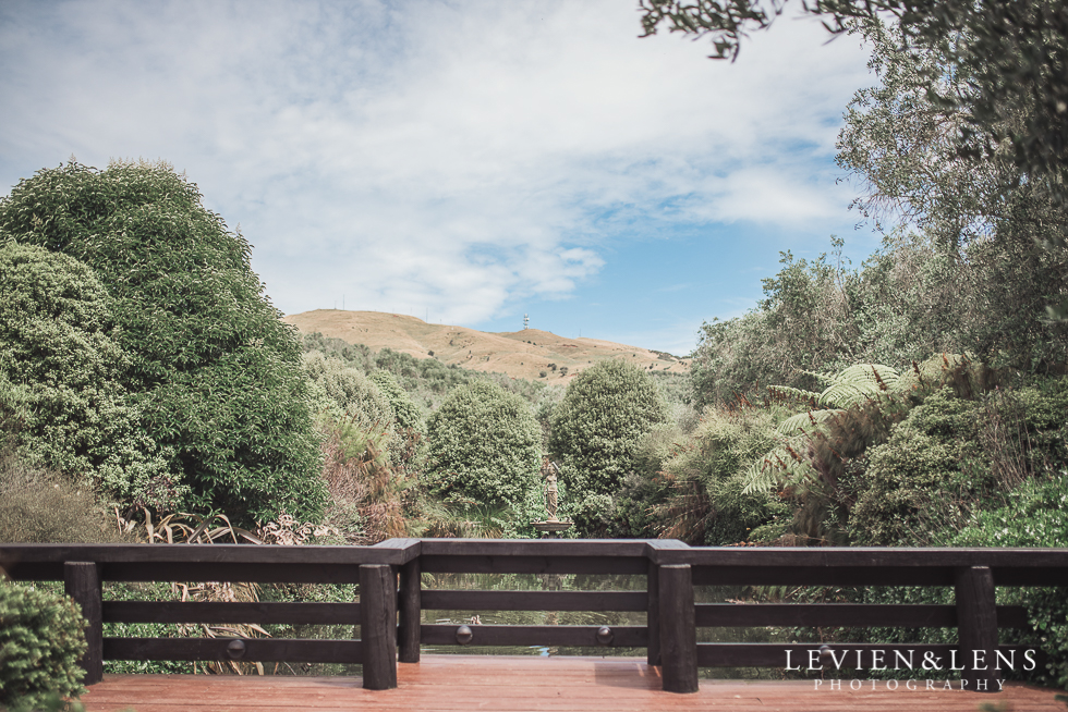 Bracu wedding - Simunovich Olive Estate {Auckland weddings photographers}