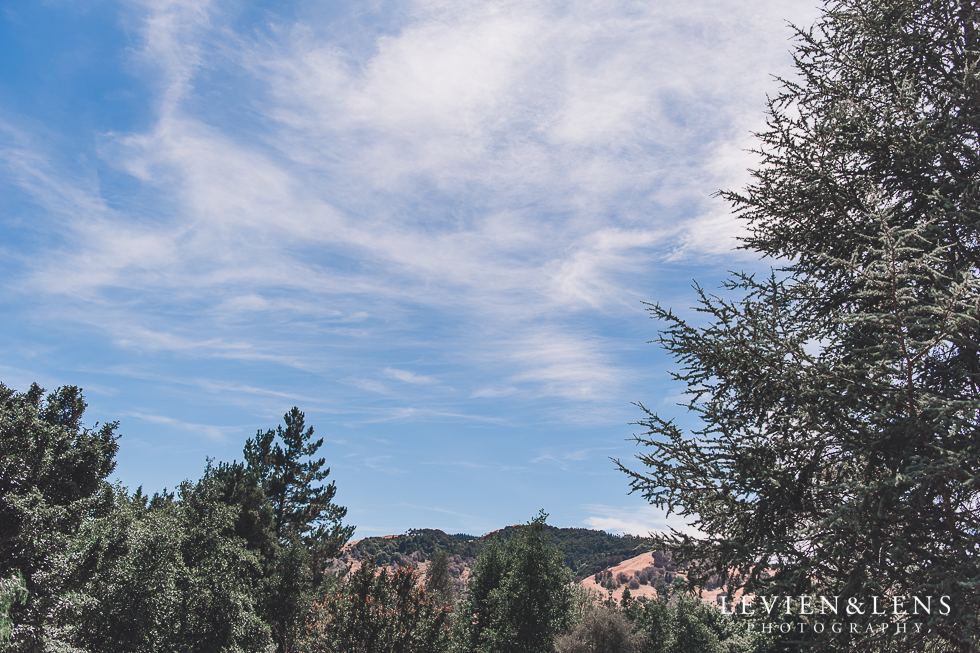 Bushmere Arms - Gisborne Wedding {New Zealand destination weddings photographer}