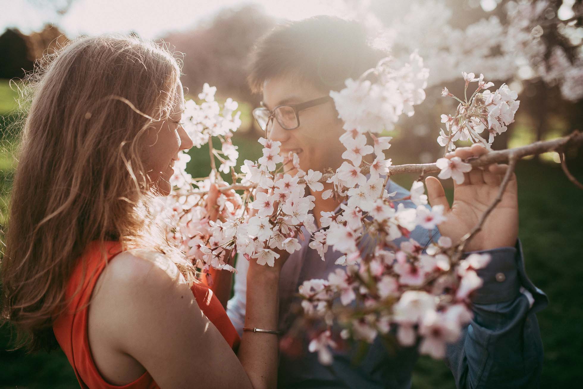 Auckland Botanic Gardens Engagement Session - Spring Cherry Blossom {Waikato wedding photographer} 