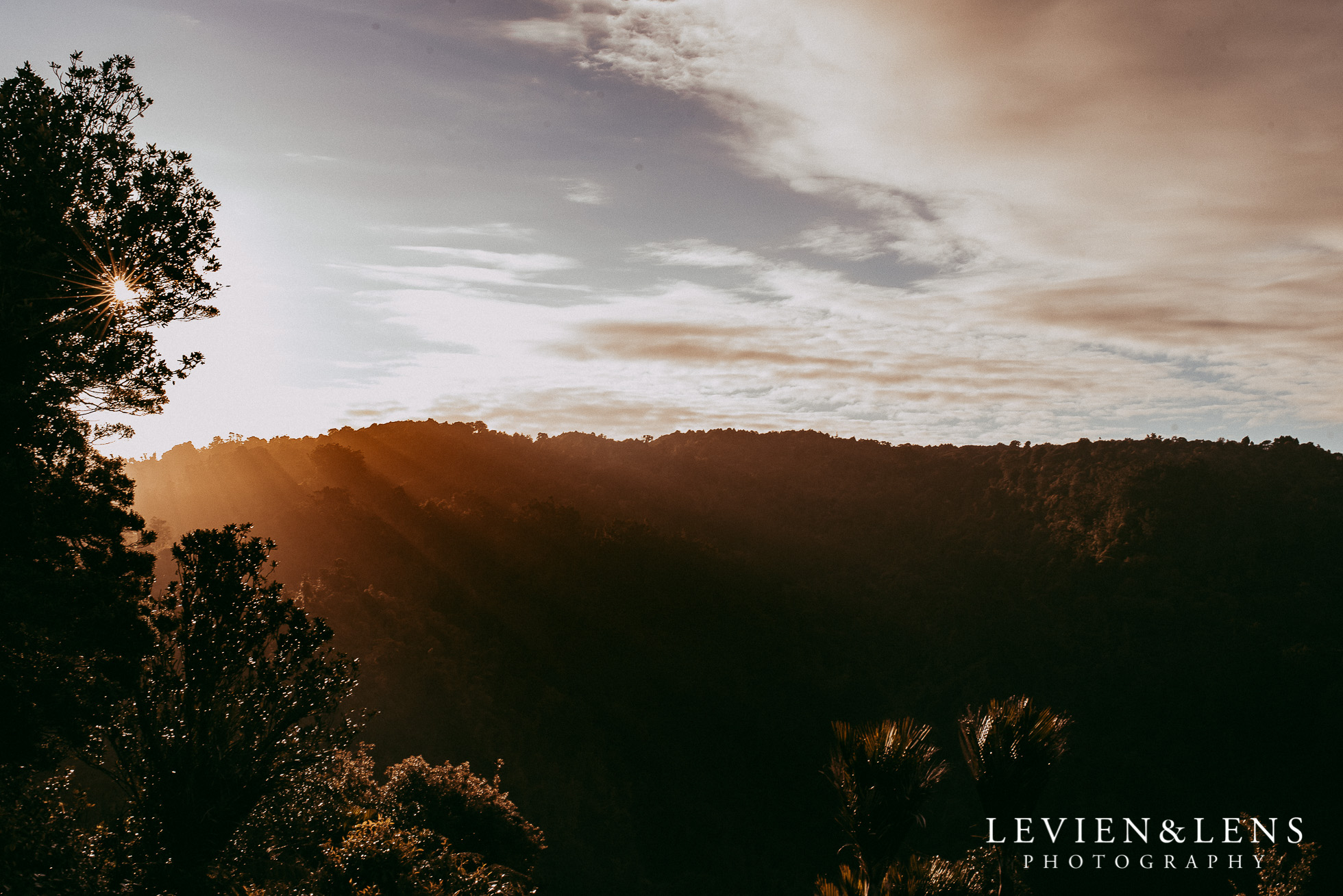 Auckland Waitakere Estate wedding {New Zealand weddings photographers}