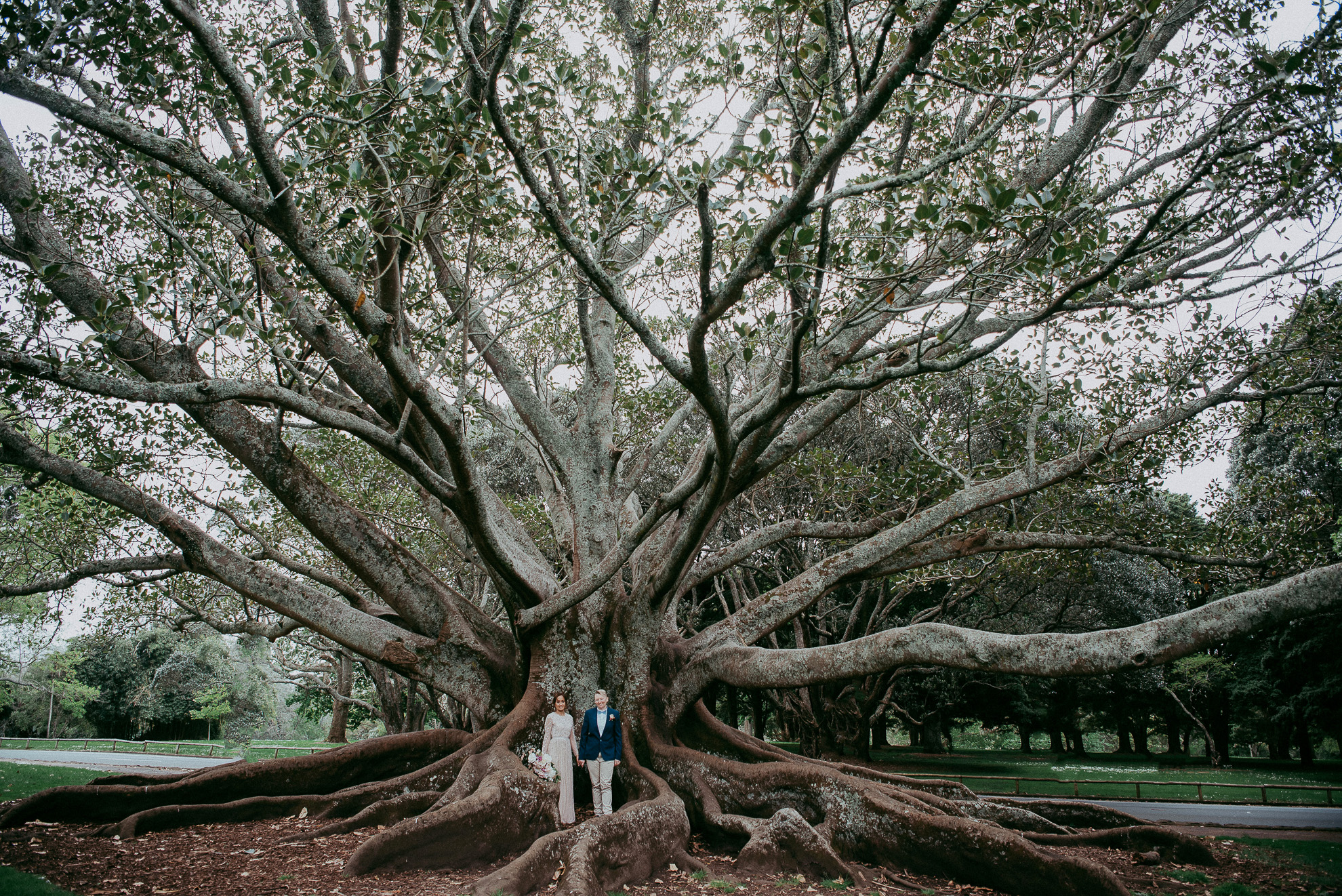 Auckland City WEDDING - Domain {New Zealand elopement-weddings photographers}