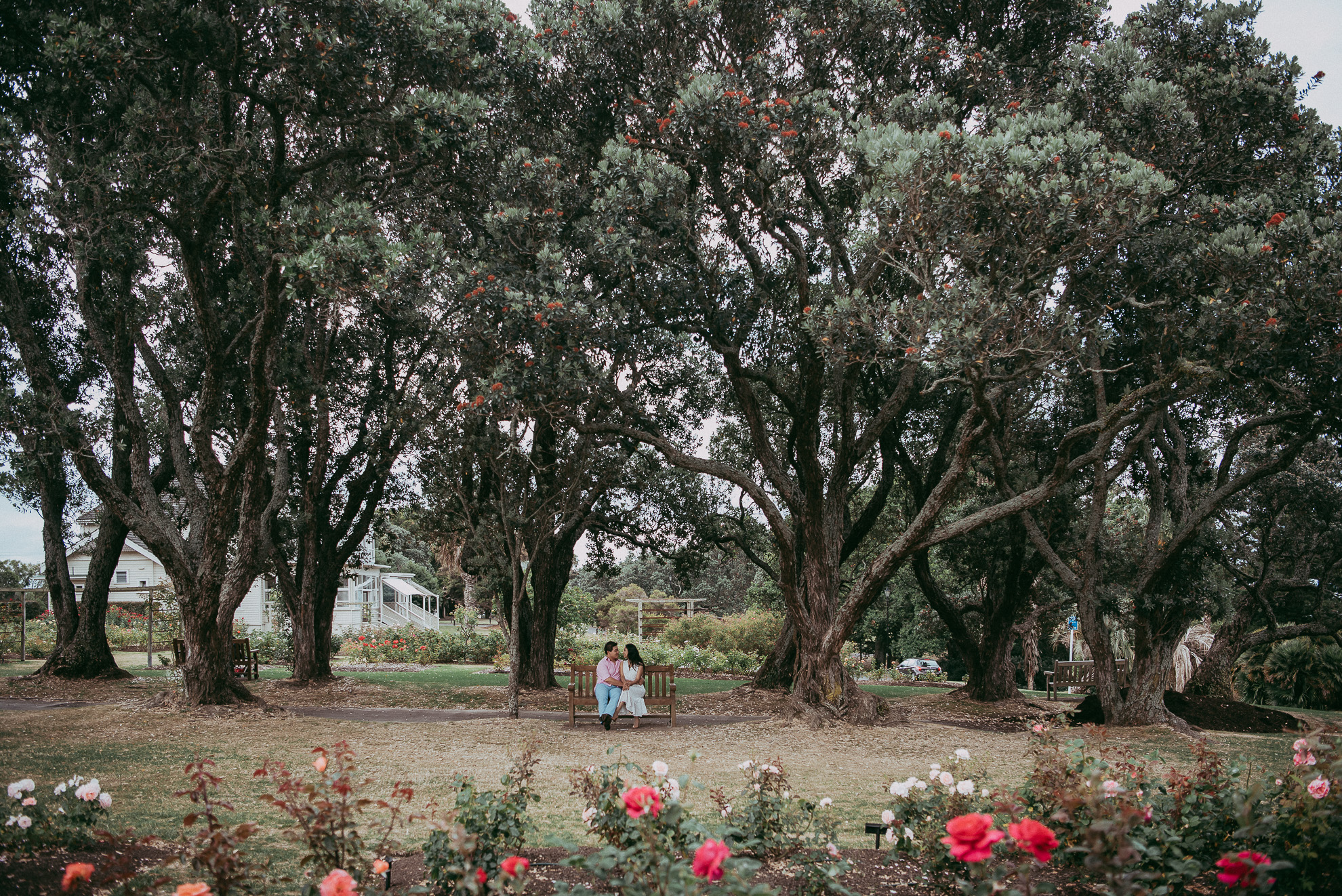 Auckland pre-wedding | engagement session - {New Zealand wedding photographer} Parnell Rose Garden