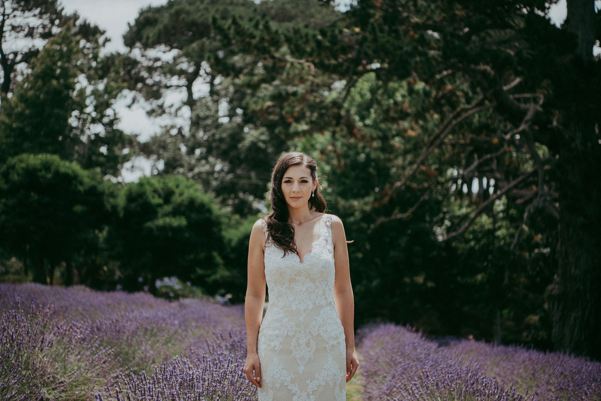 lavender farm - Auckland wedding photographer