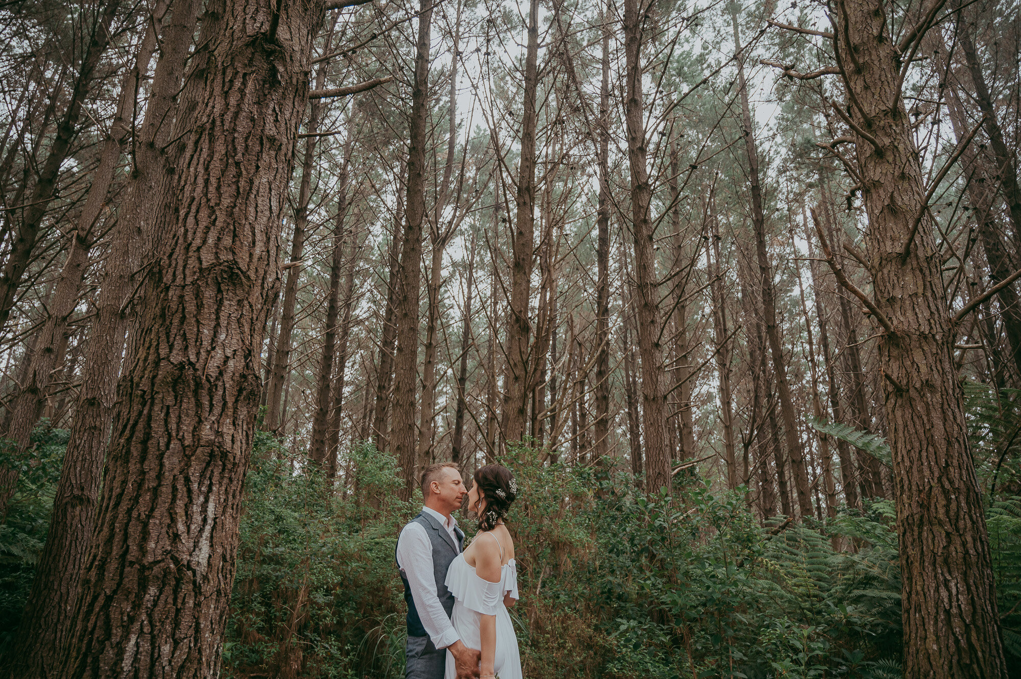 Alberton House Wedding {Auckland photographers} Riverhead Forest - Parakai Springs