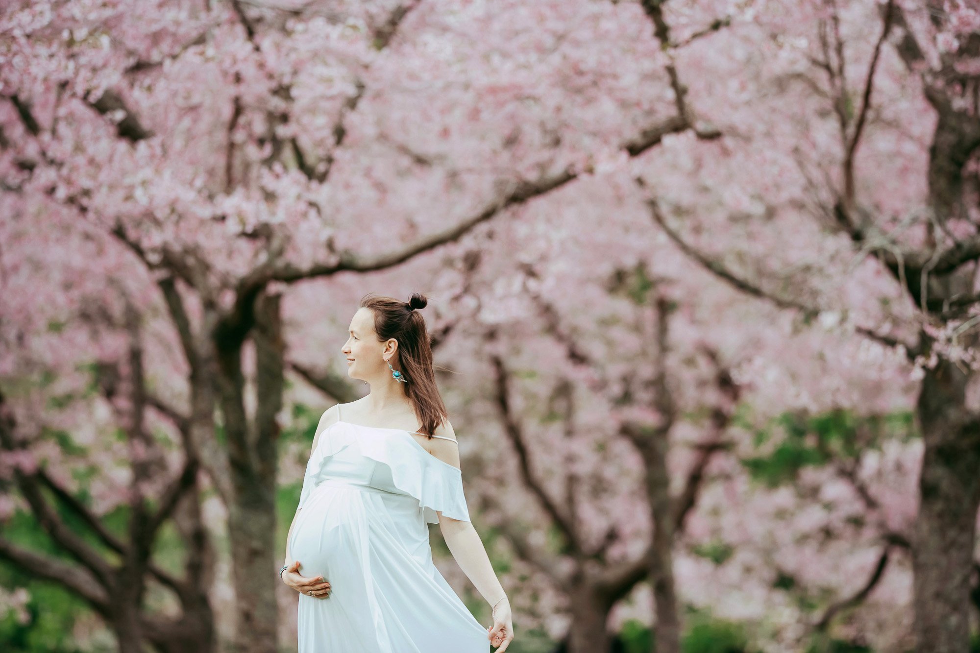 Blossom maternity session in Cornwall park {Auckland family-newborn photographer}