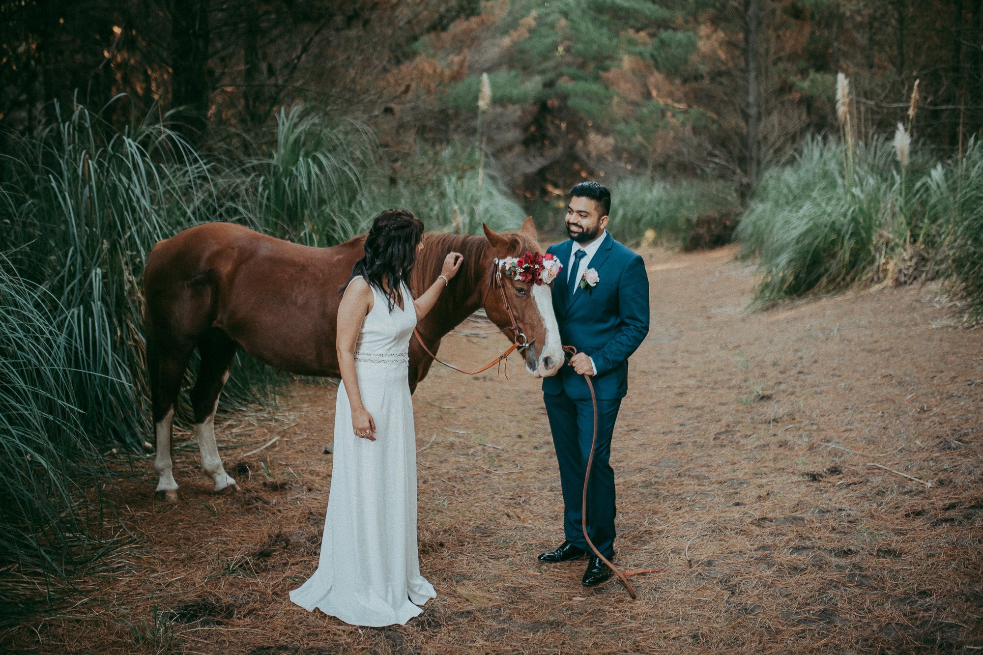 Engagement session with horses at Muriwai Beach {Auckland pre-wedding photographers}