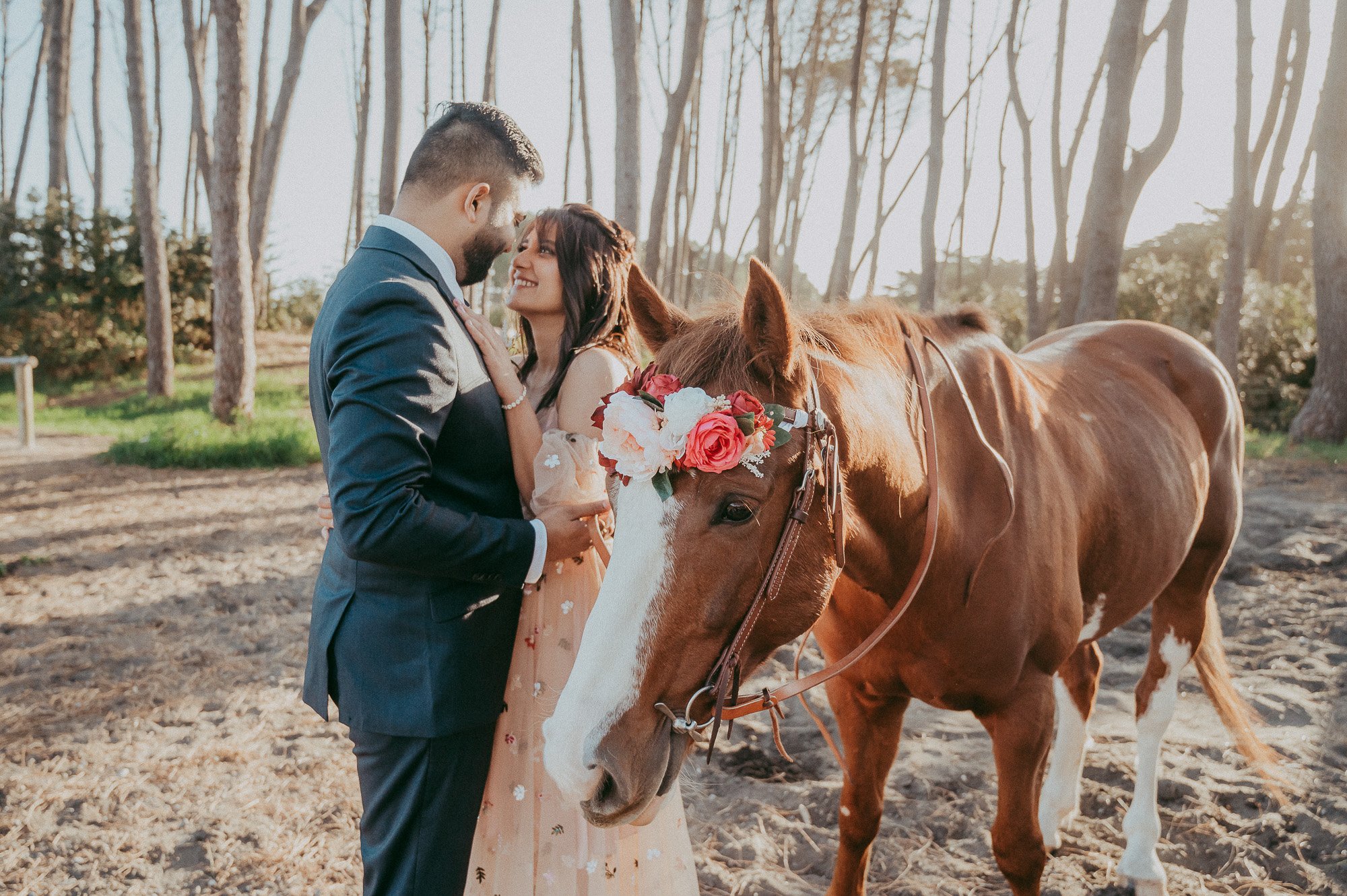 Engagement session with horses at Muriwai Beach {Auckland pre-wedding photographers}