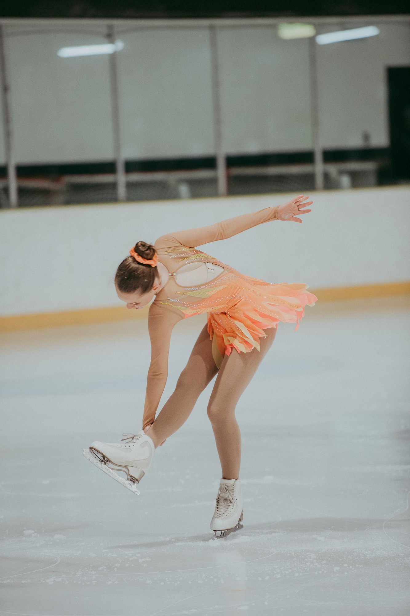 Nationals-ice skating_by_Levien-8.jpg