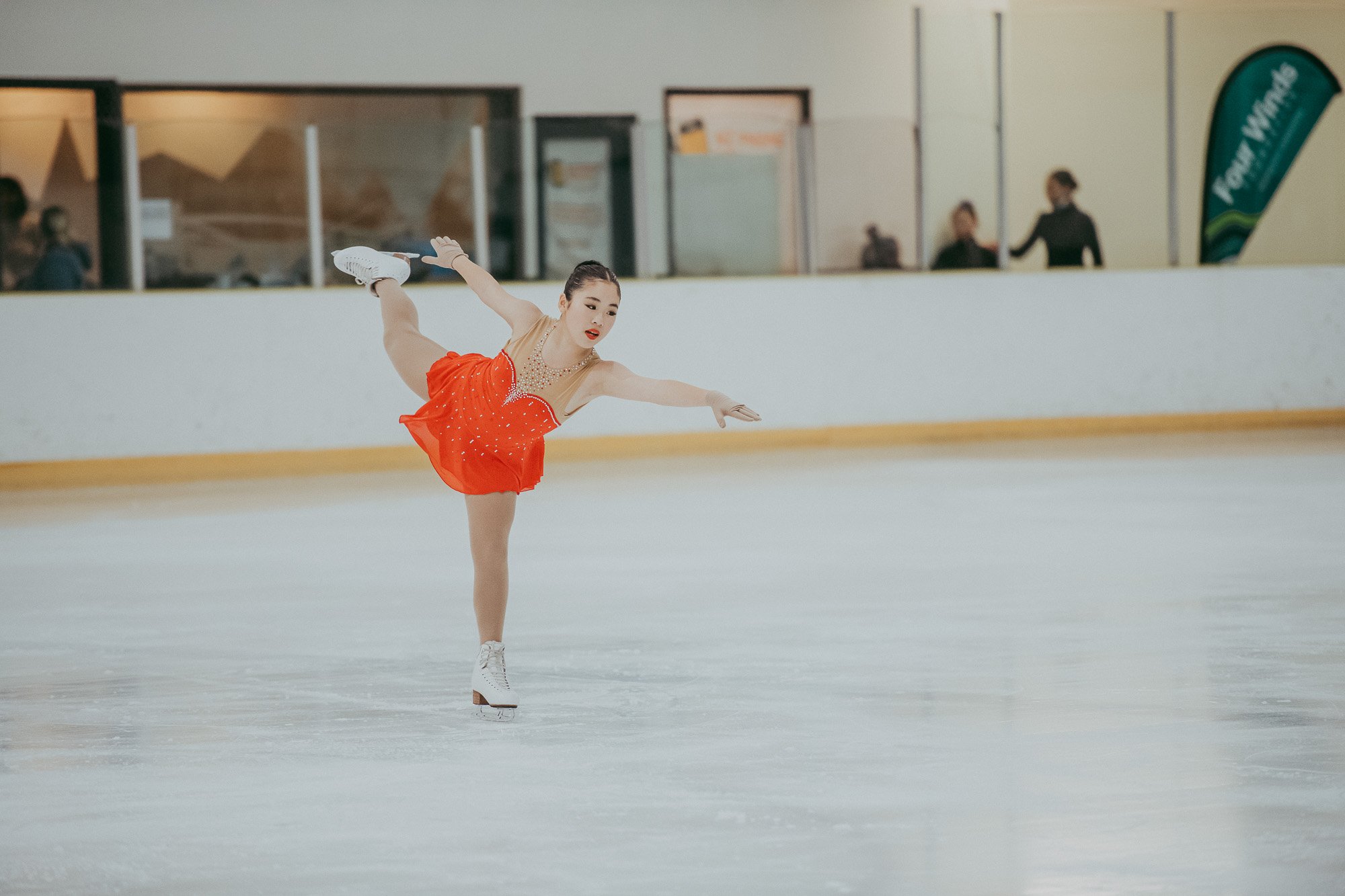 Nationals-ice skating_by_Levien-13.jpg