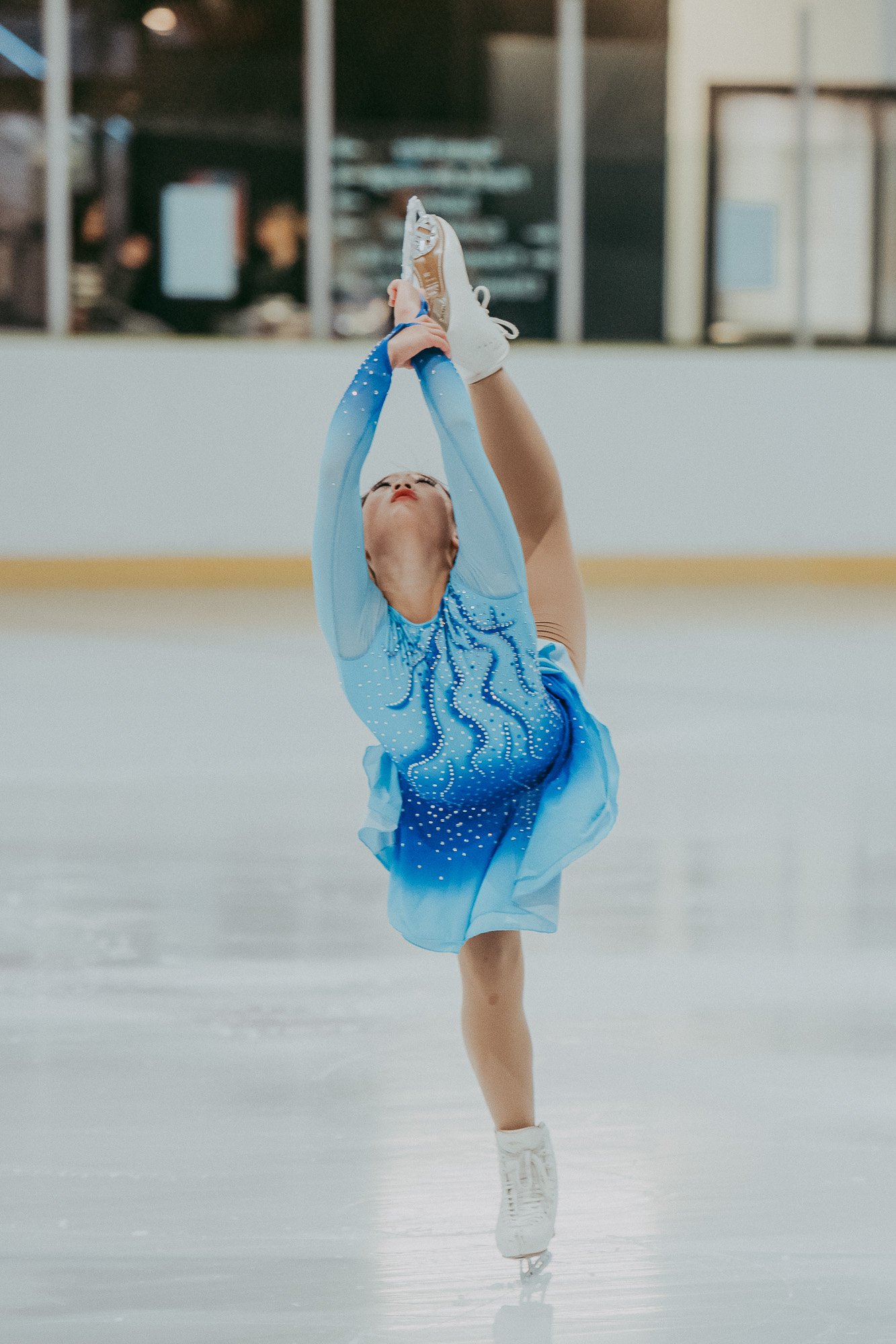 Nationals-ice skating_by_Levien-16.jpg