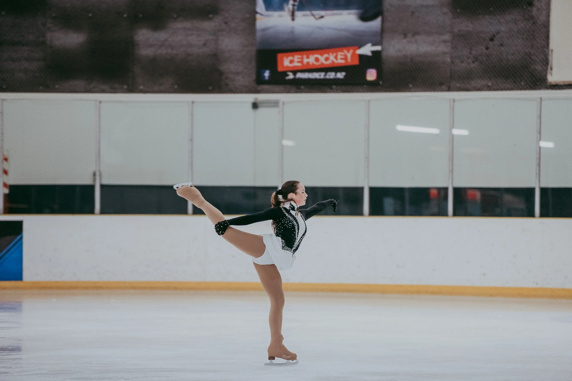 Nationals-ice skating_by_Levien-33.jpg