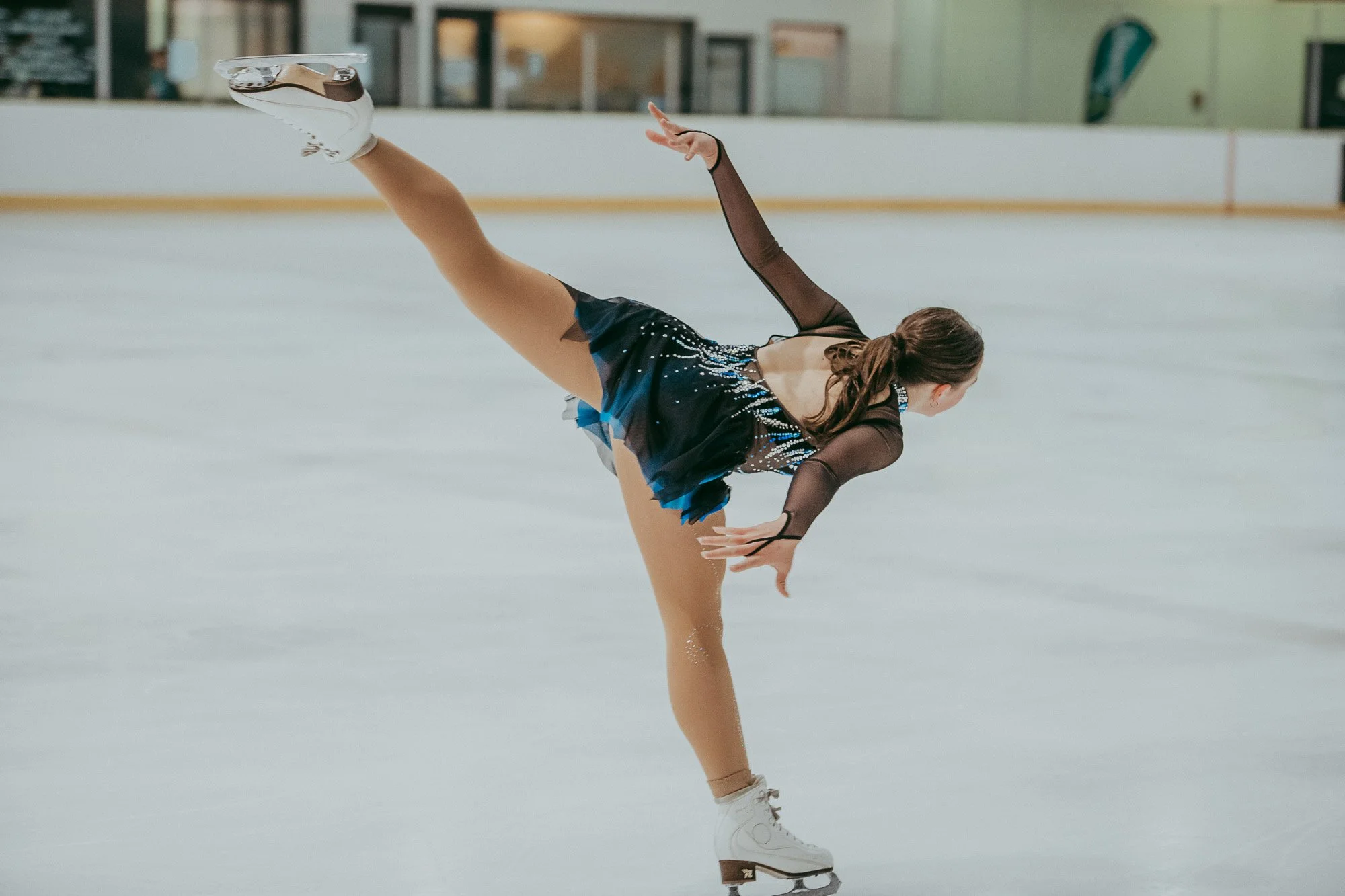 Nationals-ice skating_by_Levien-40.jpg