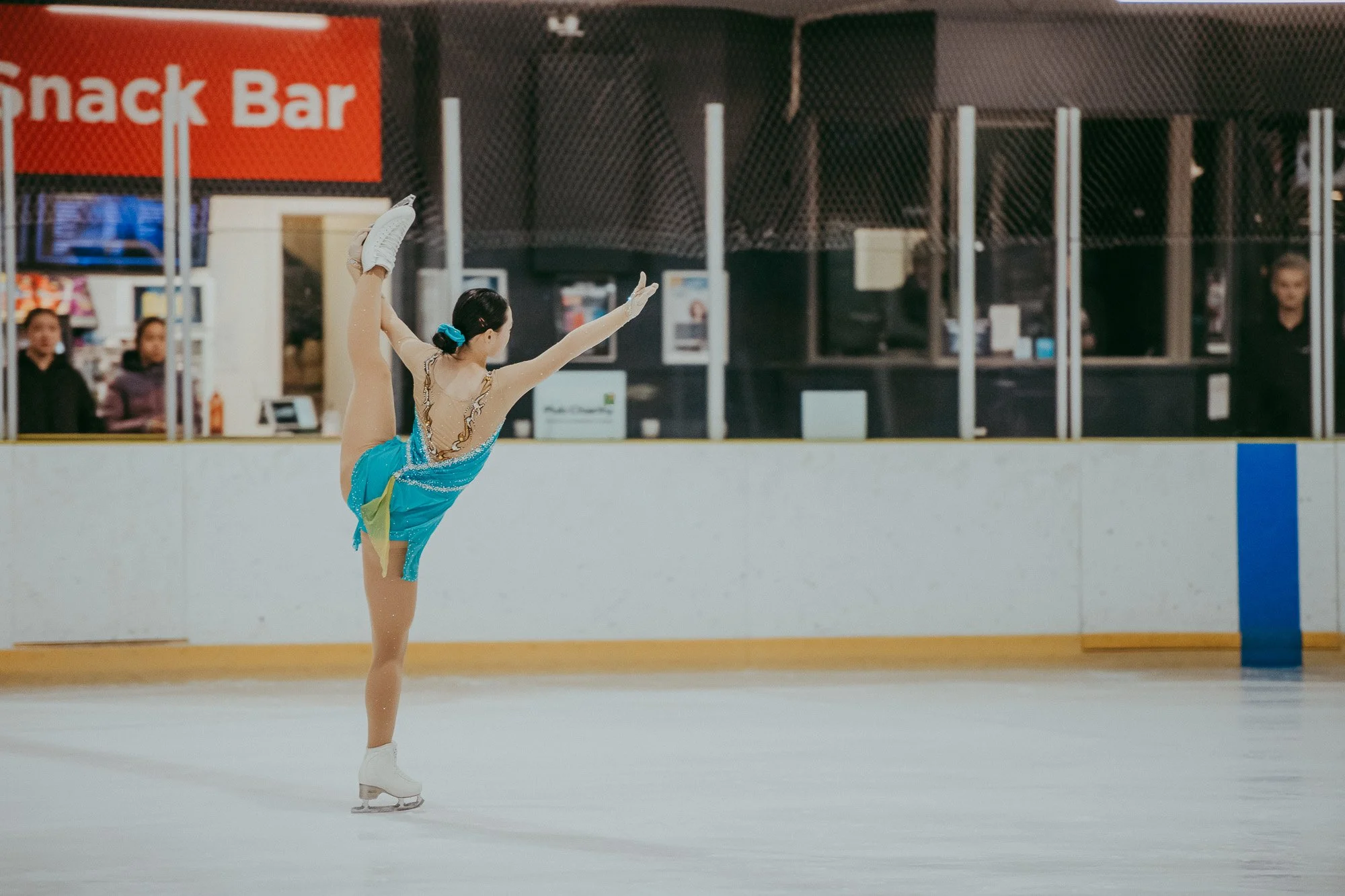 Nationals-ice skating_by_Levien-41.jpg