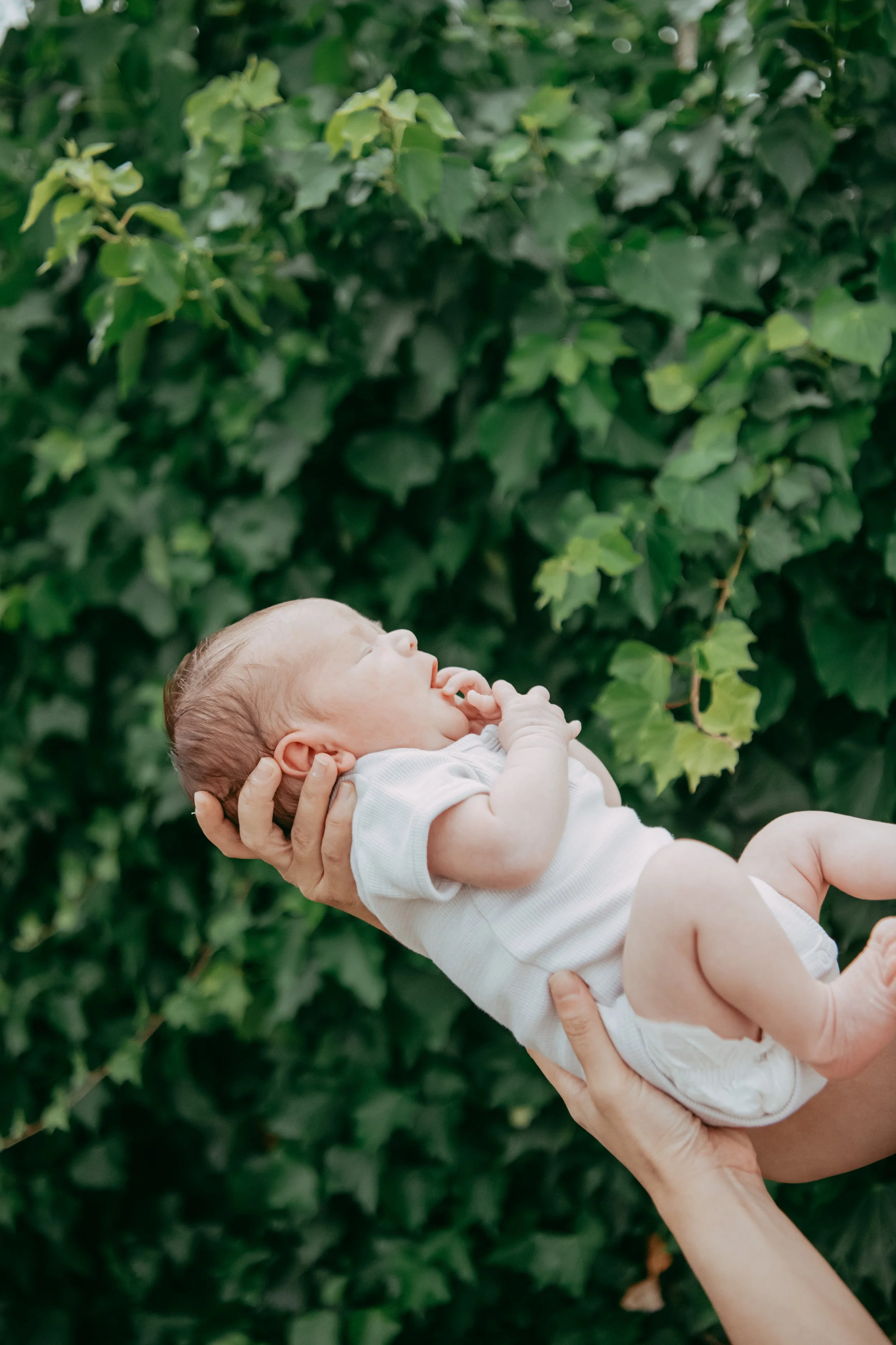 newborn_by_Levien-51.jpg