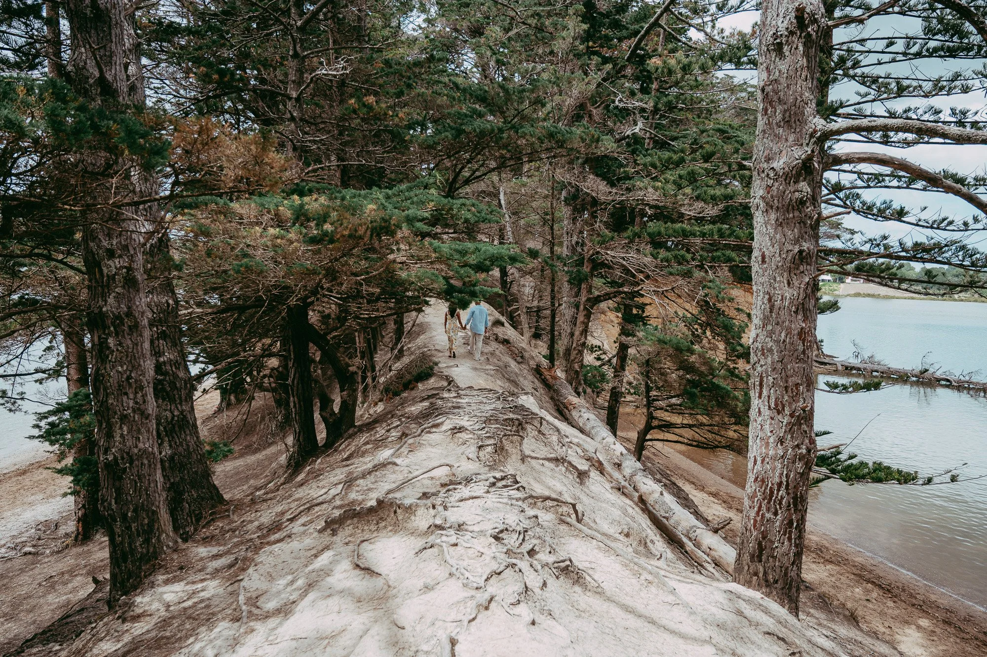 Proposal in Sanders Reserve (Auckland pre-wedding photographer)
