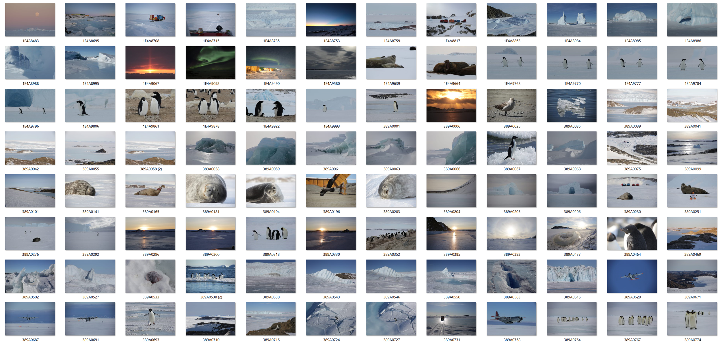Antarctica 3.PNG