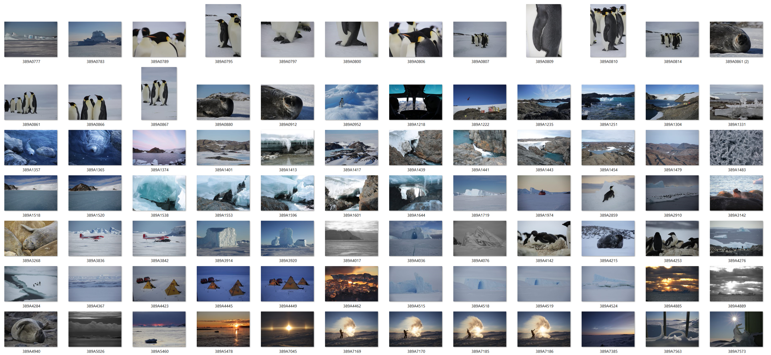 Antarctica 4.PNG