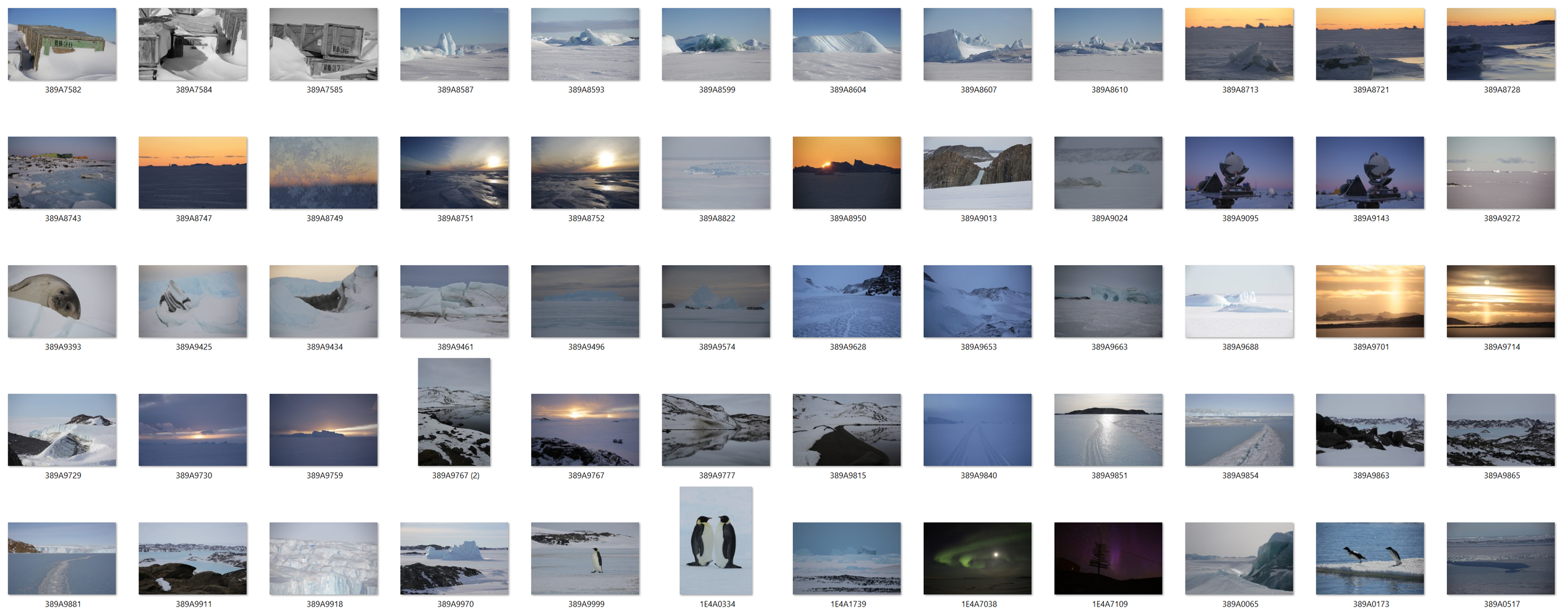 Antarctica 5.PNG
