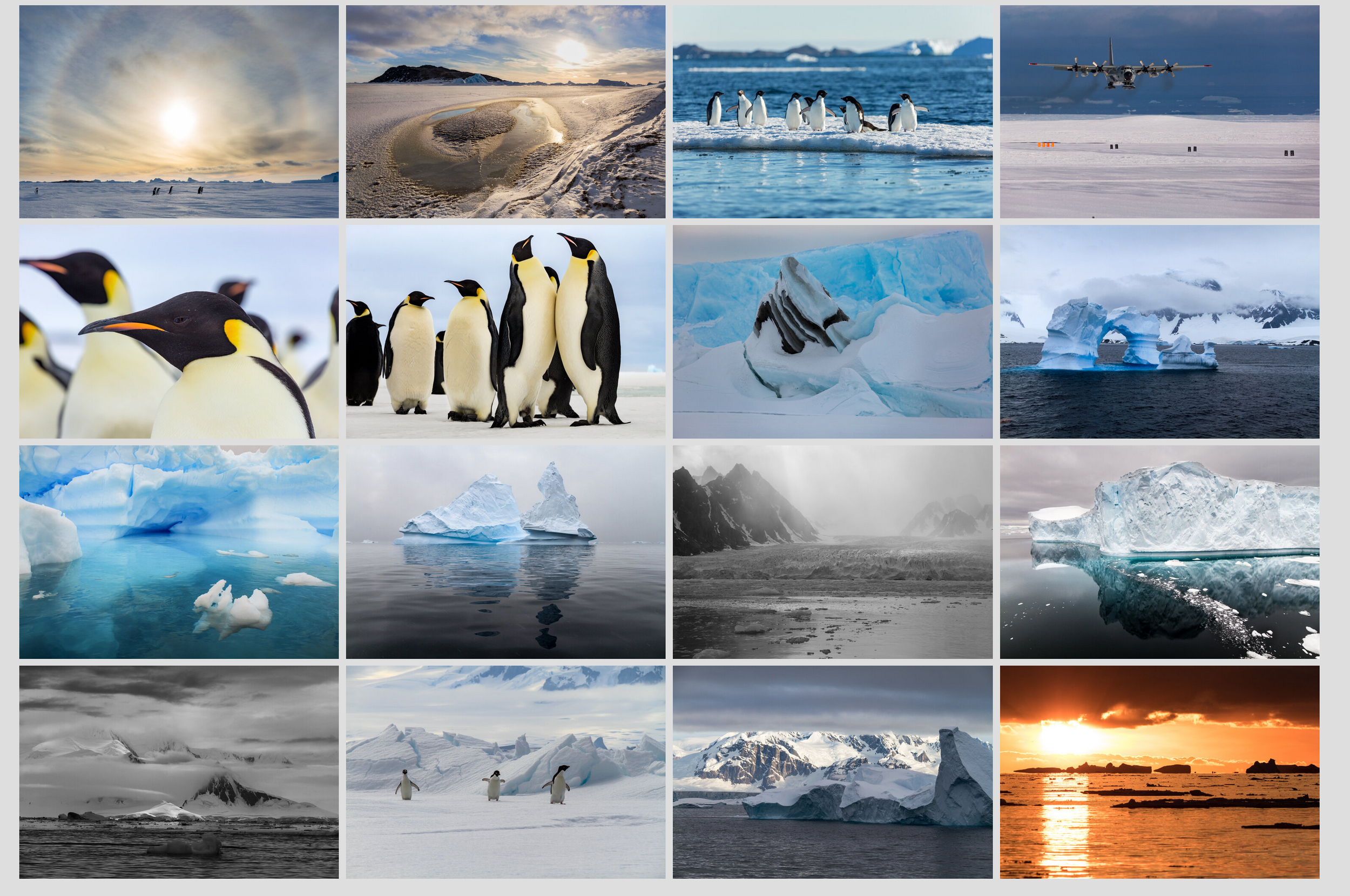 Antarctica 7.PNG
