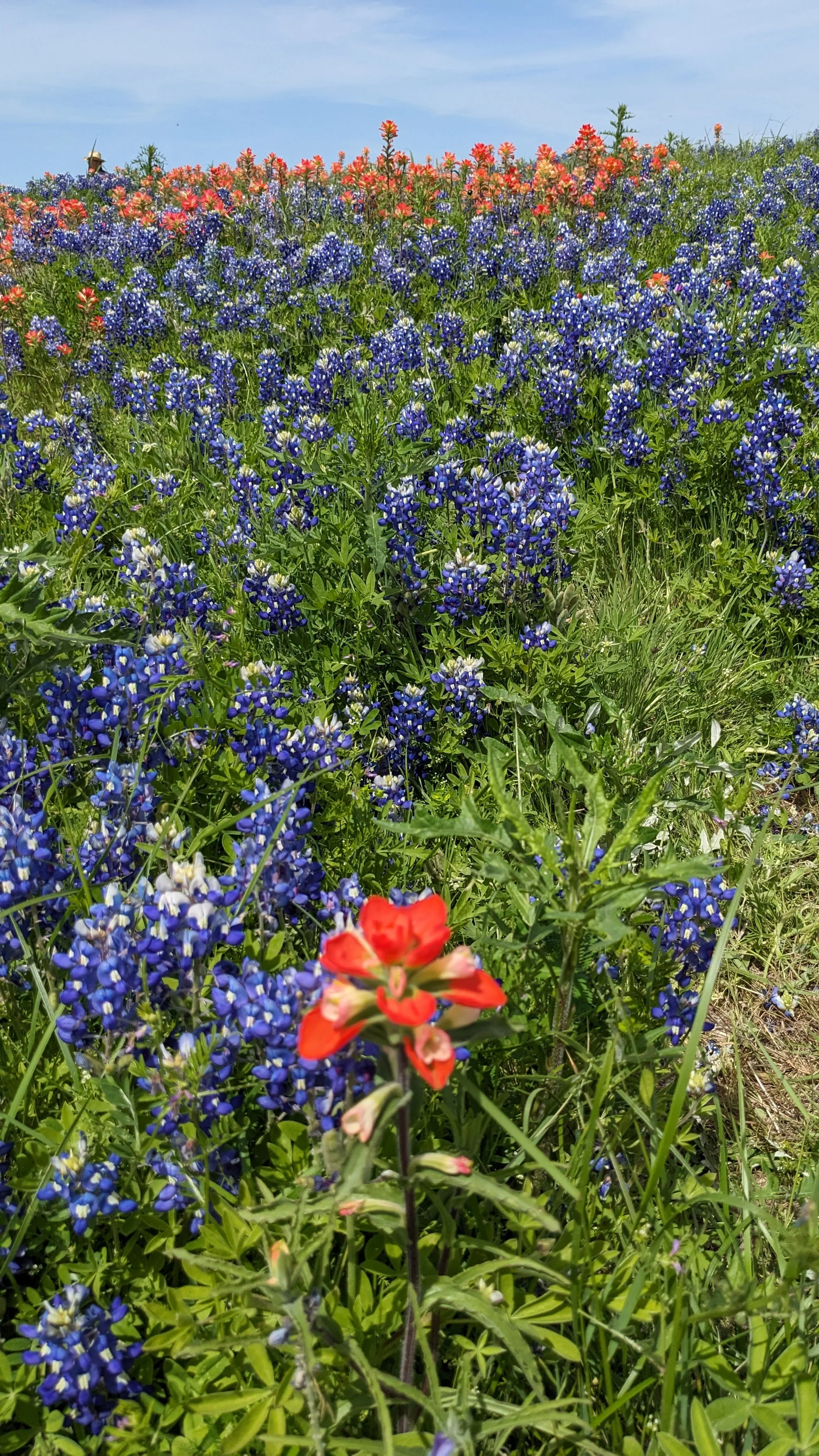 PXL_20240407_193419573.jpg