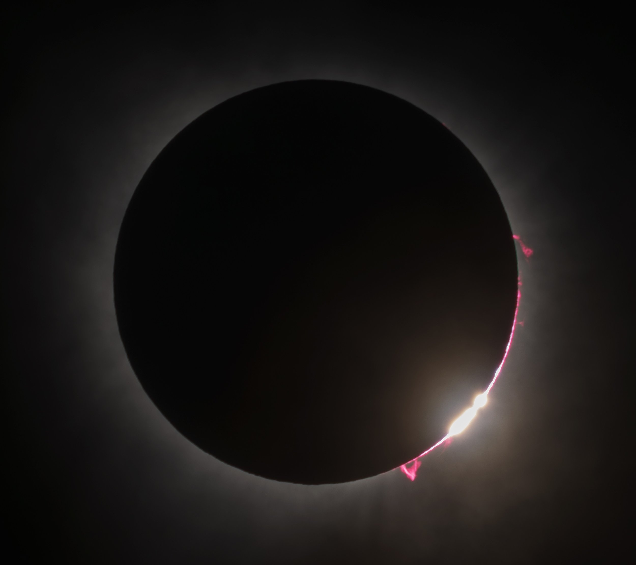 0K9A7926-Enhanced-NRcrop.jpg