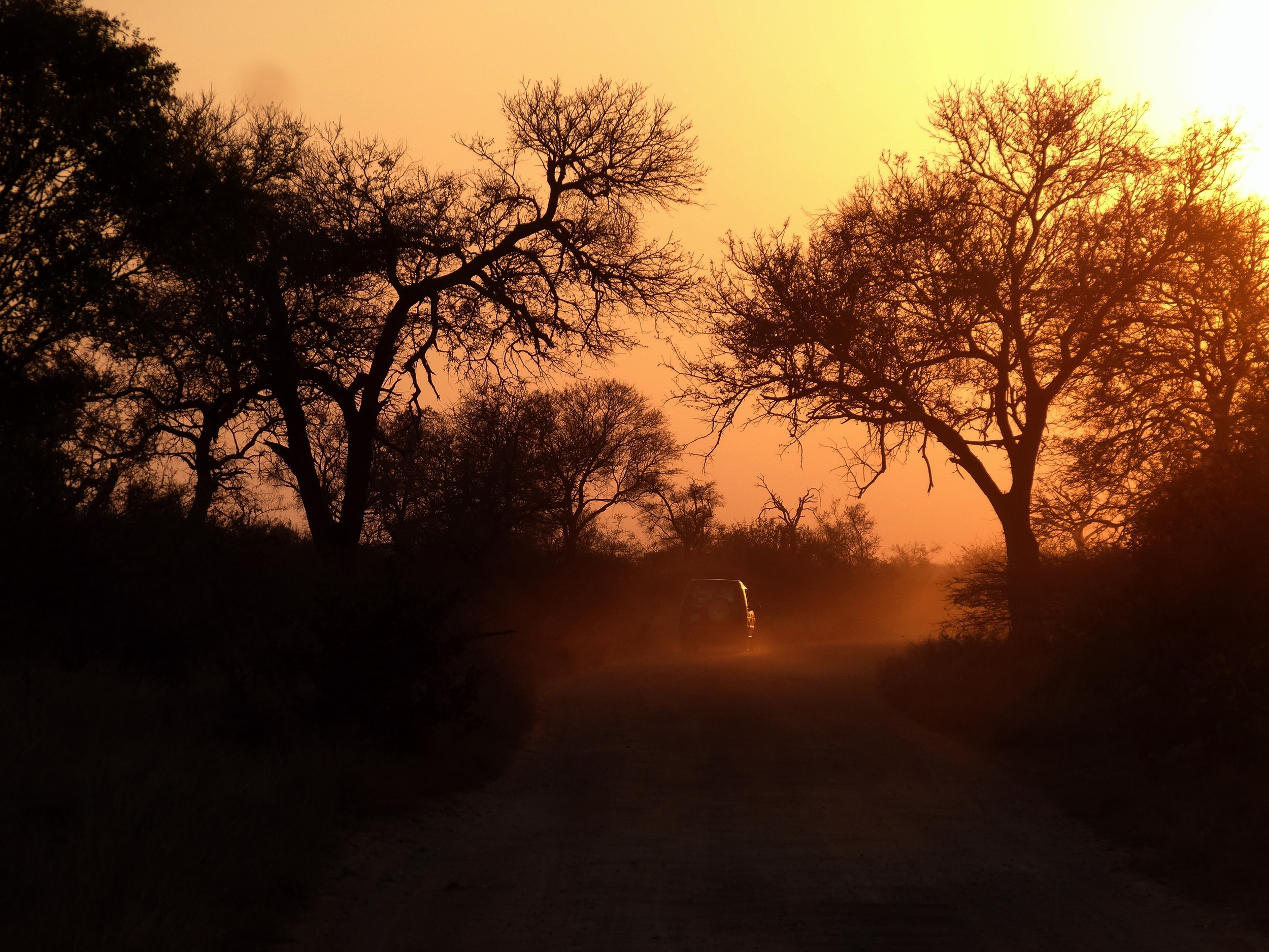 Kruger Awakening