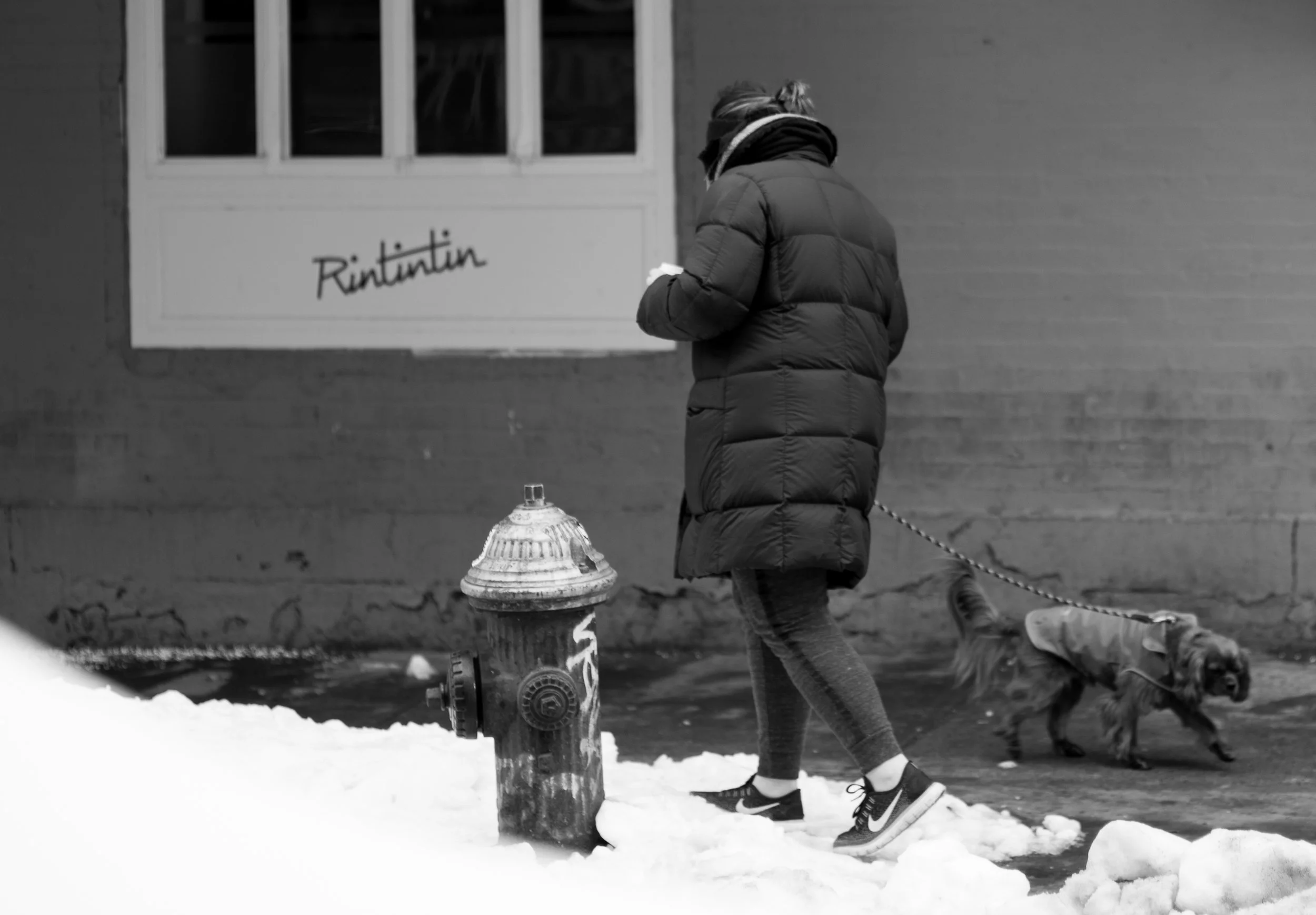 Rintintin