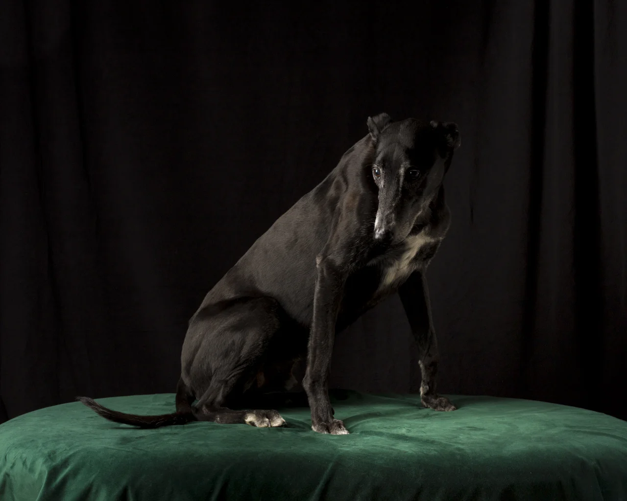 blaise-007.jpg