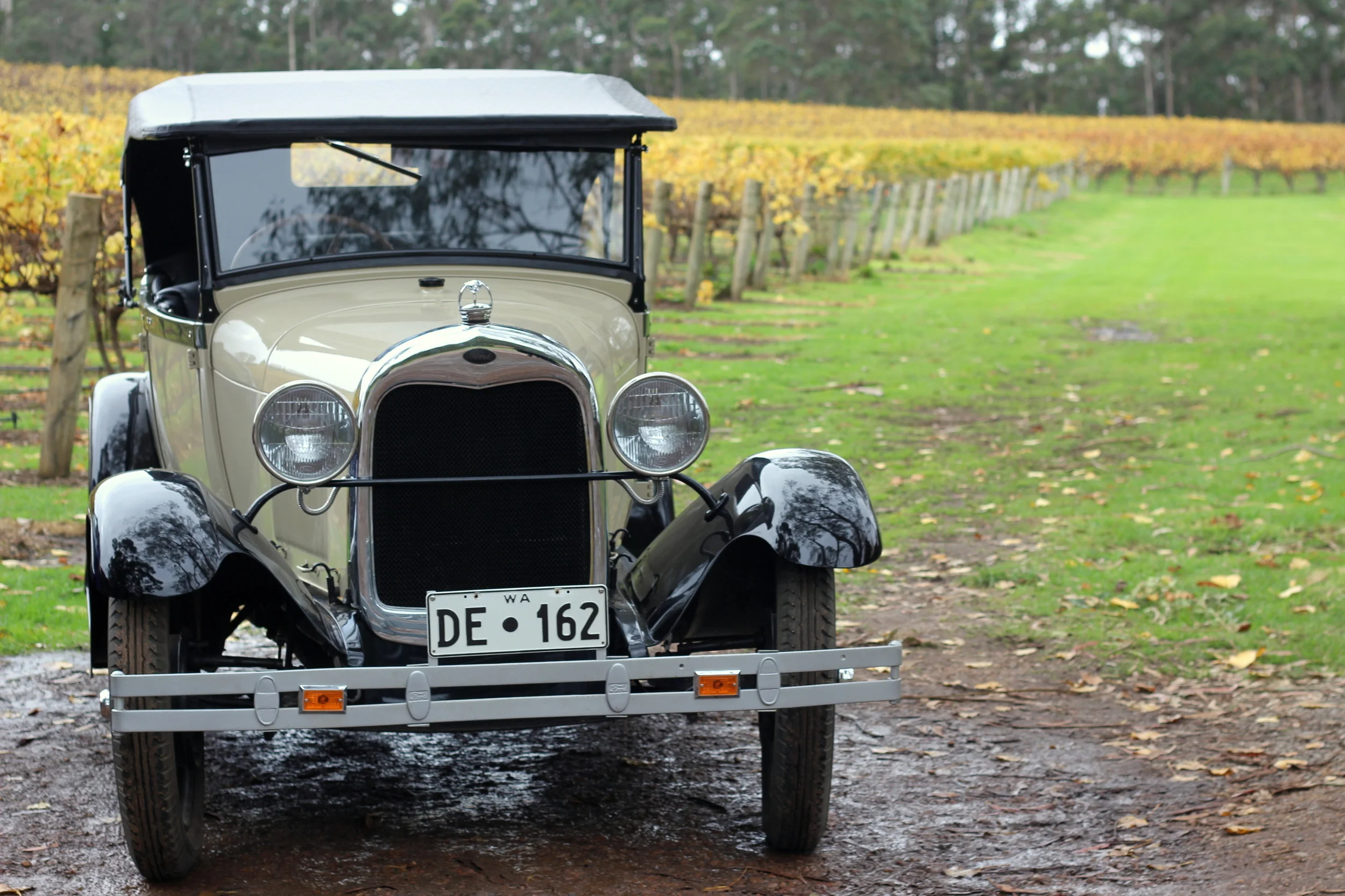 Rockcliffe Winery Escape