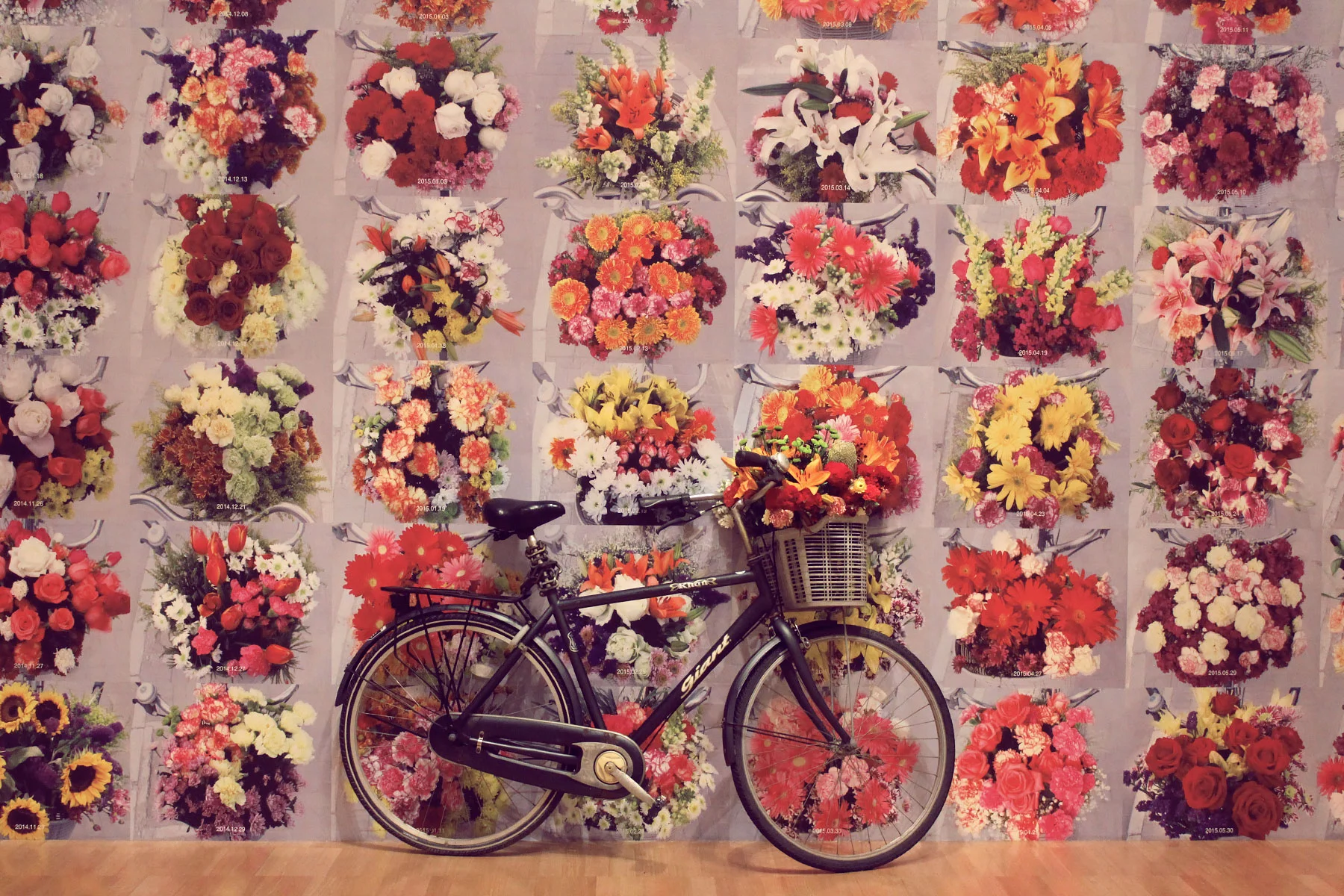 What's On in Melbourne: January '16