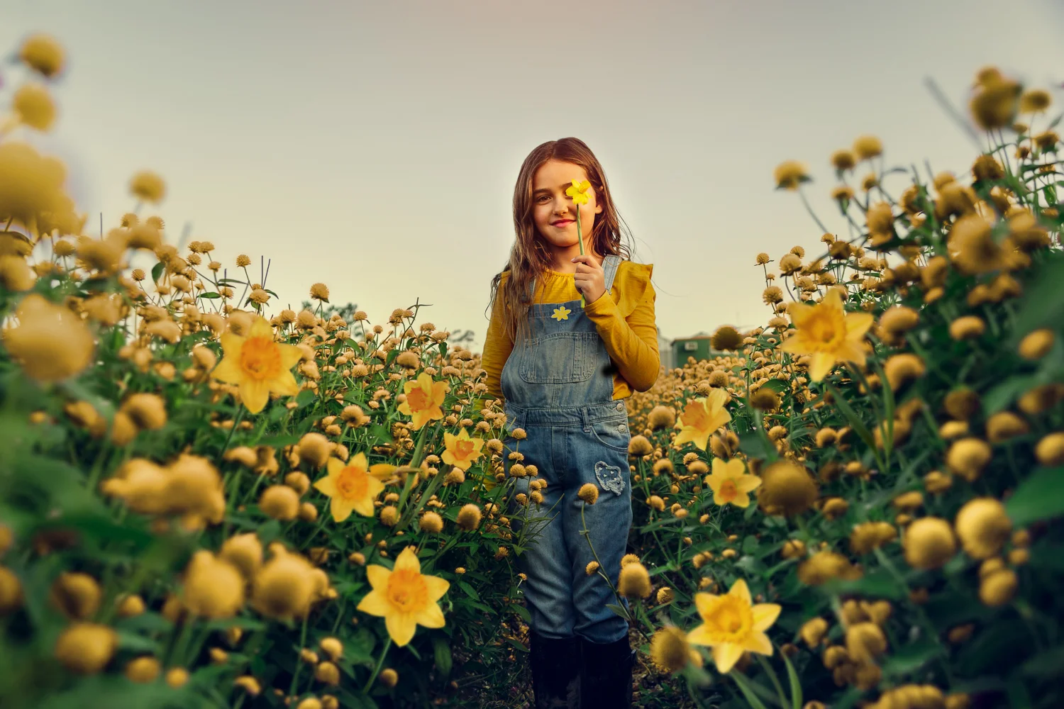 Cancer Council's Daffodil Day