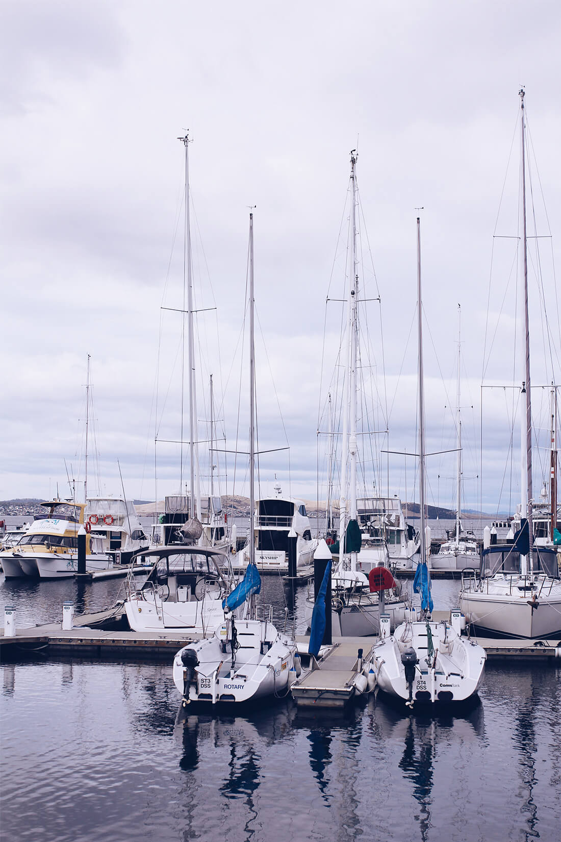 Tasmania Quick Guide Lei Lady Lei