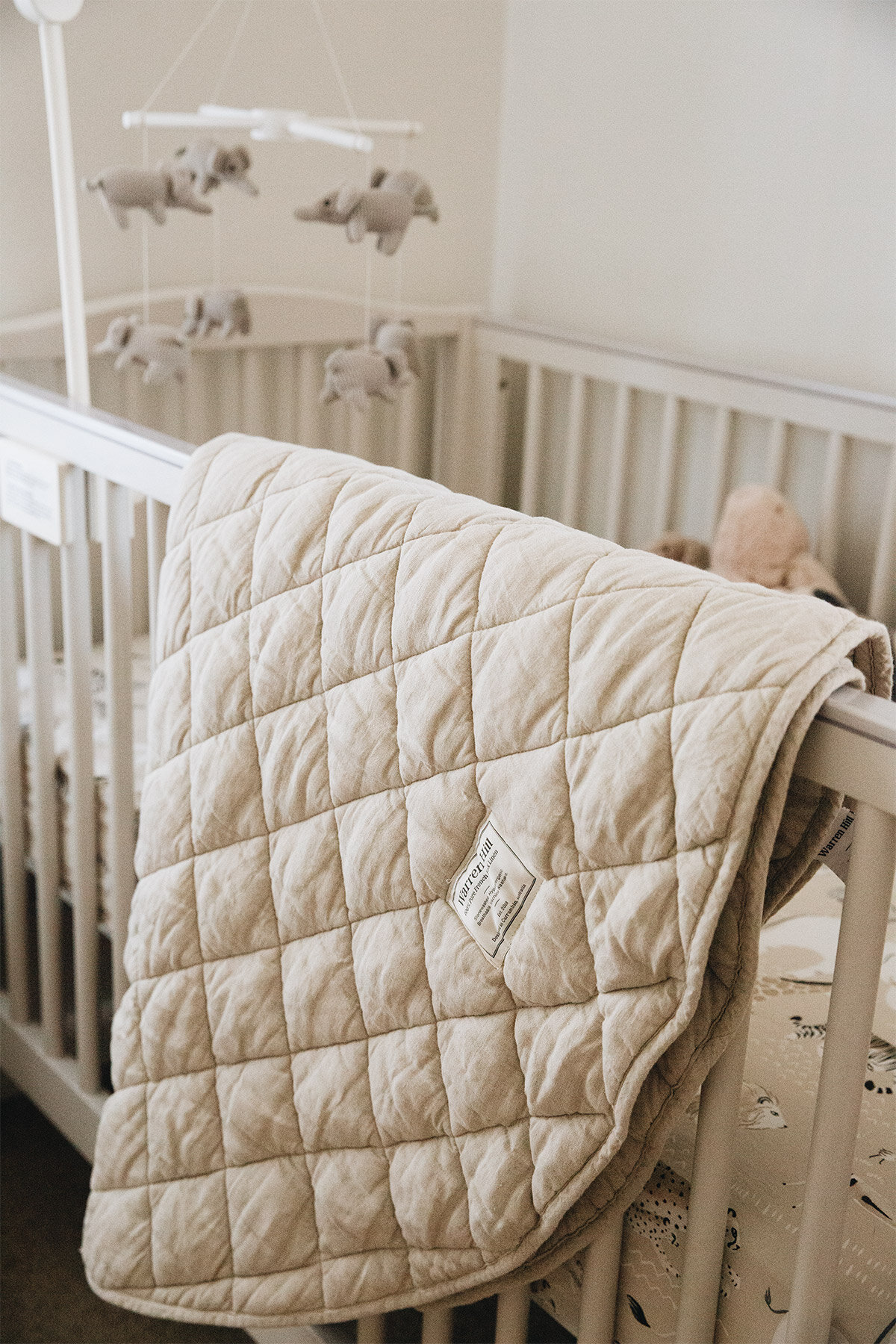 What's in My Nursery