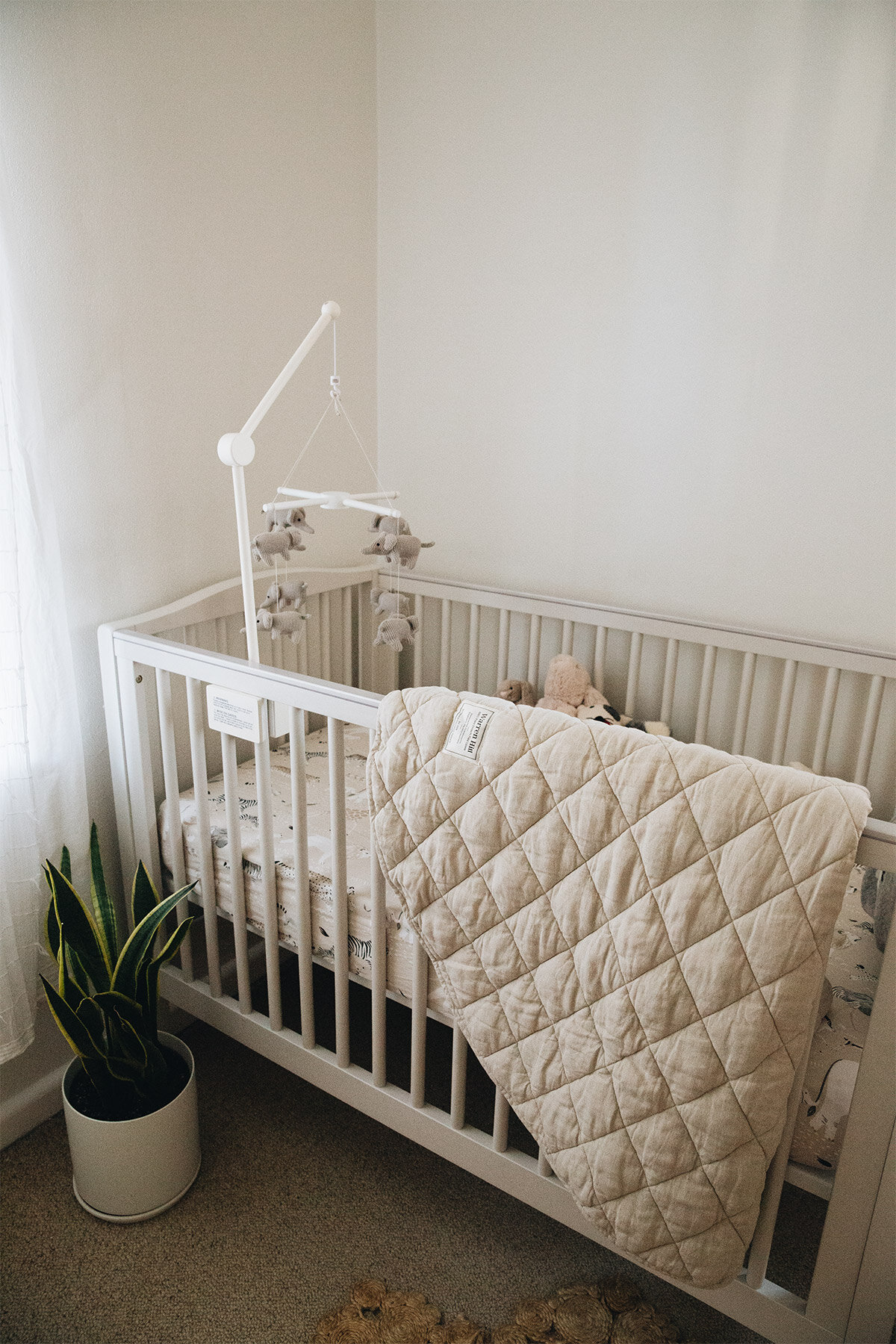 What's in My Nursery