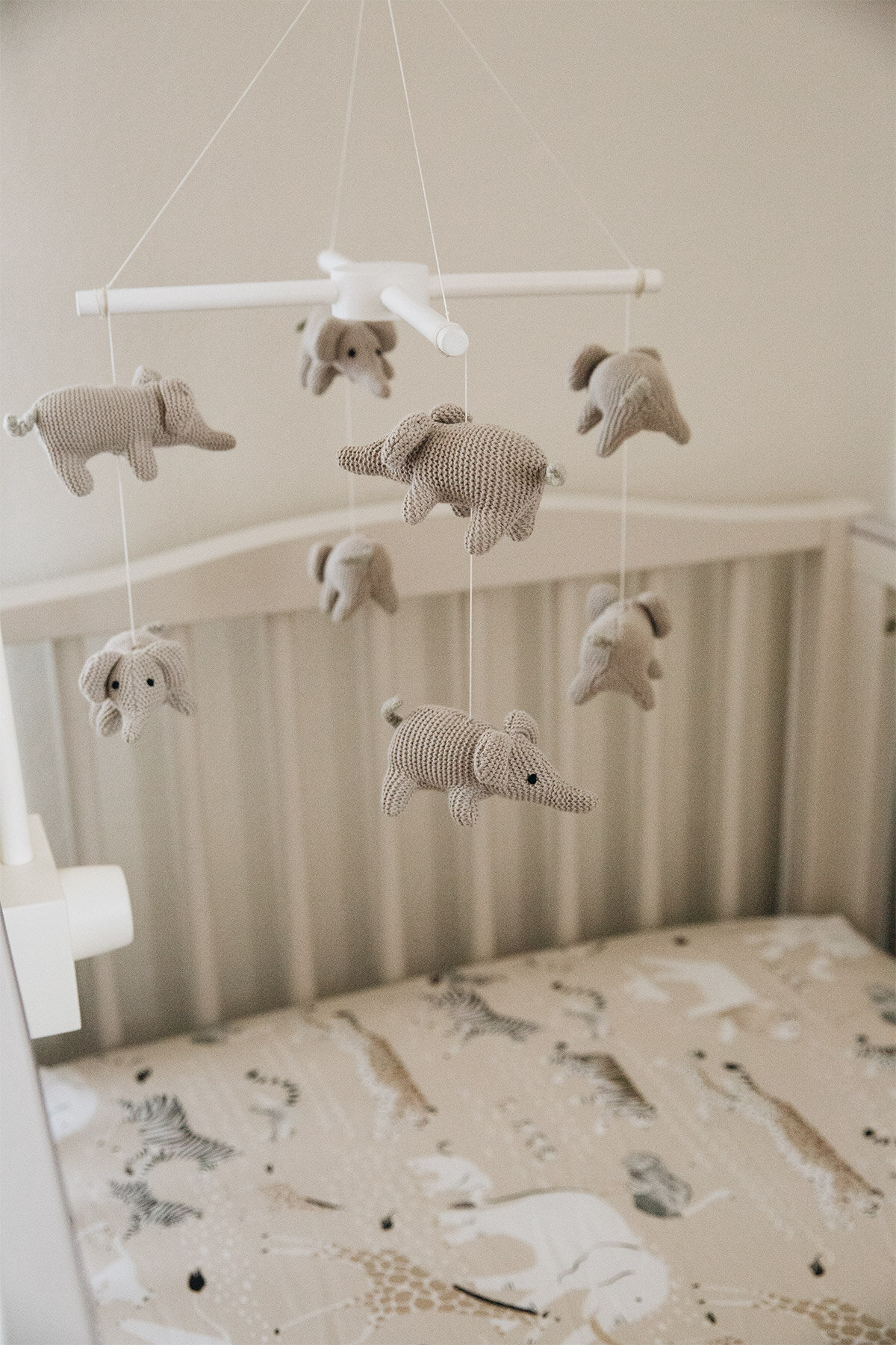 What's in My Nursery
