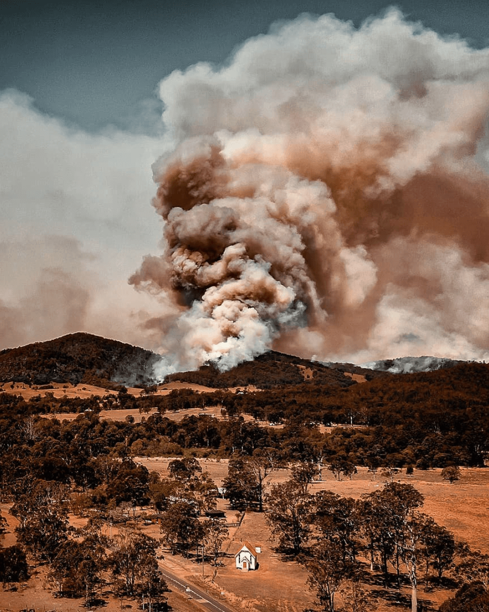 Australian Bushfire Disaster and How You Can Help