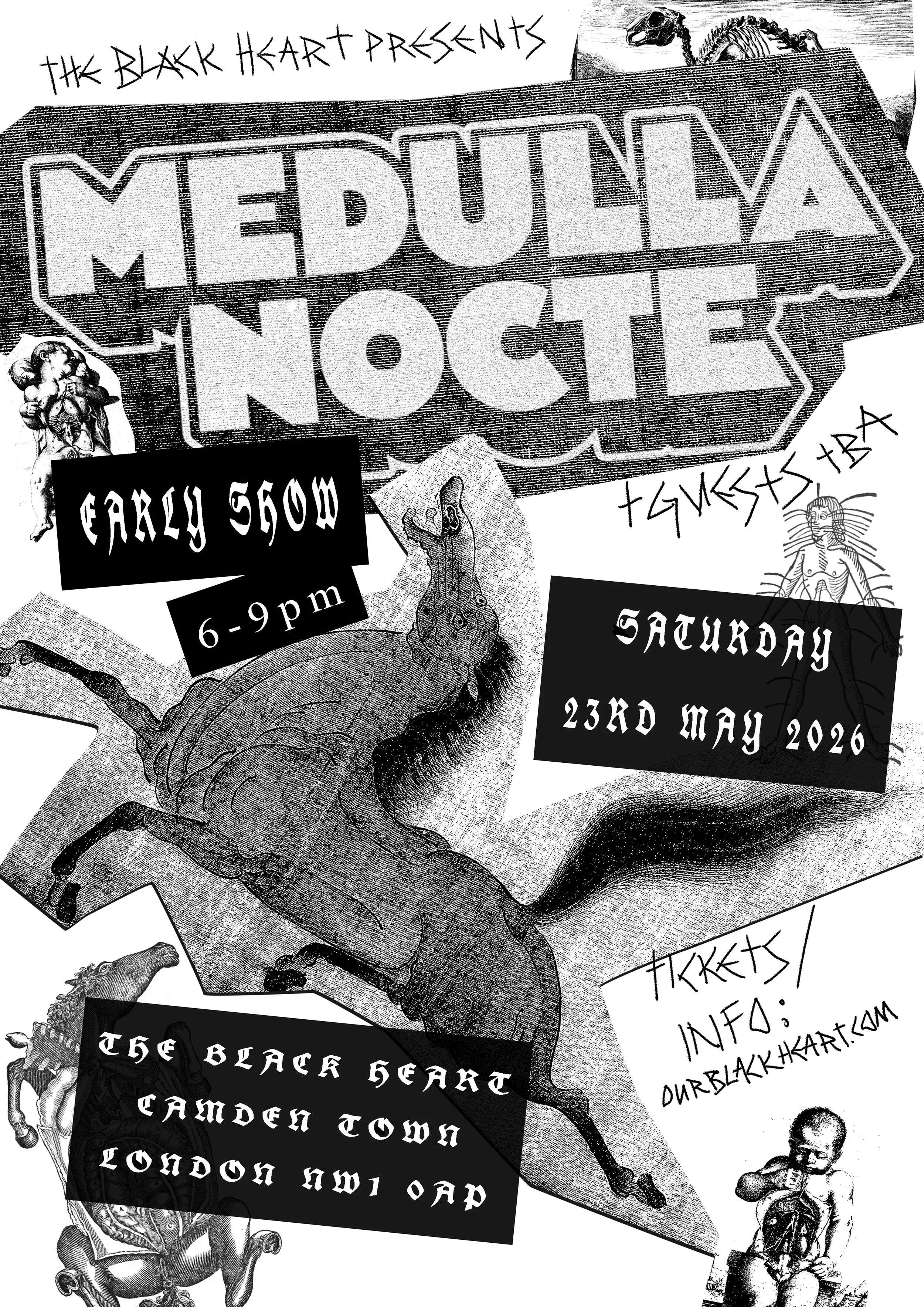 medulla nocte BH A3 white.jpg