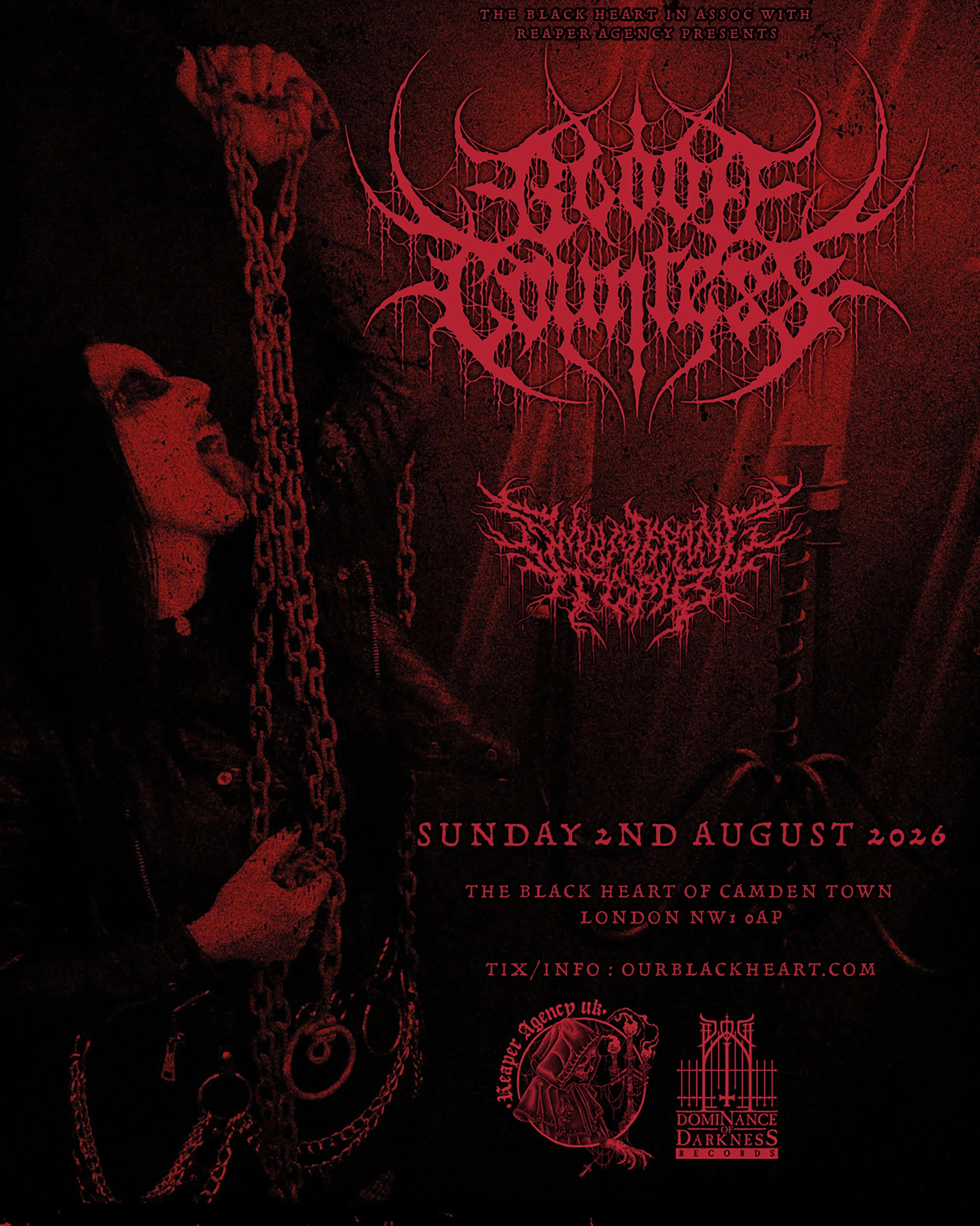 Blood Countess Poster A3 BH 1 support.jpg