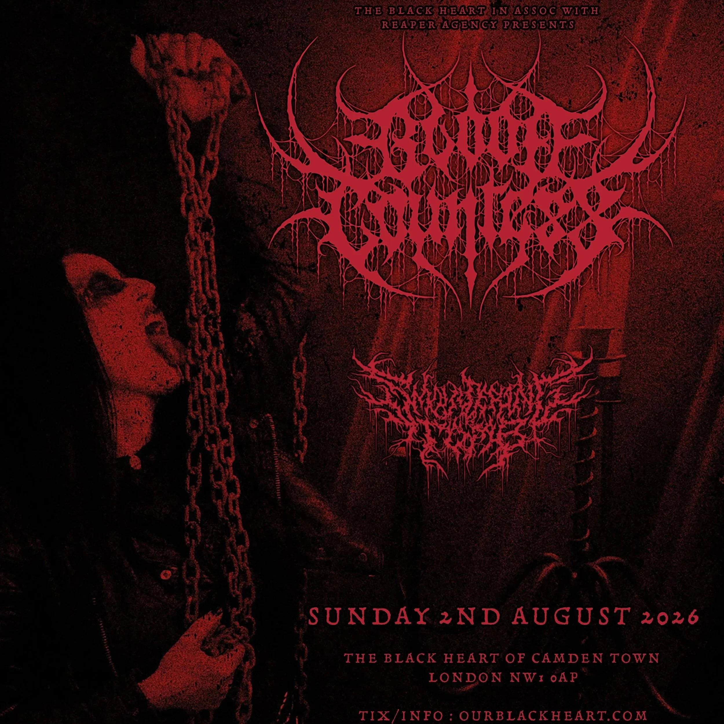 BLOOD COUNTESS