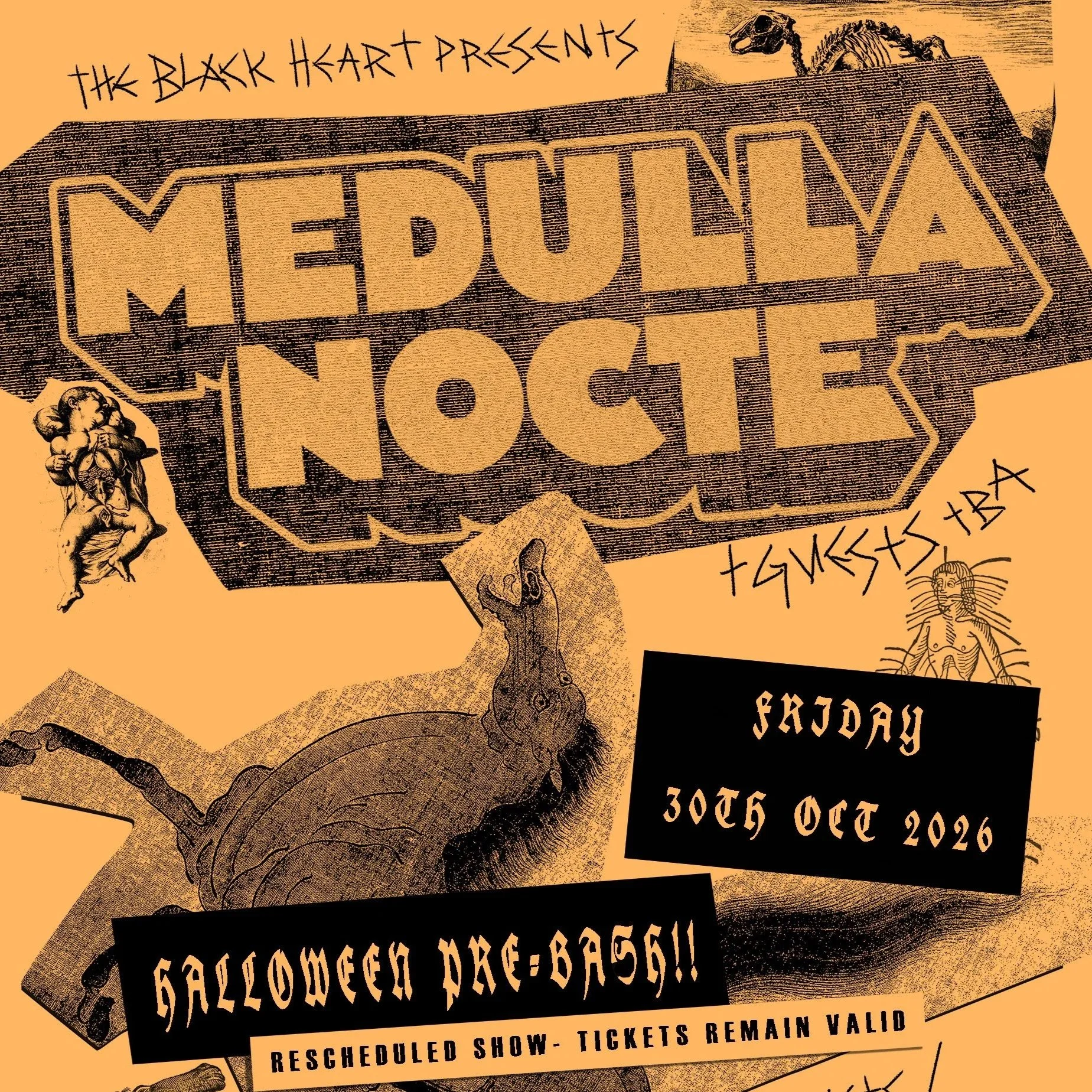 MEDULLA NOCTE - [RESCHEDULED DATE]