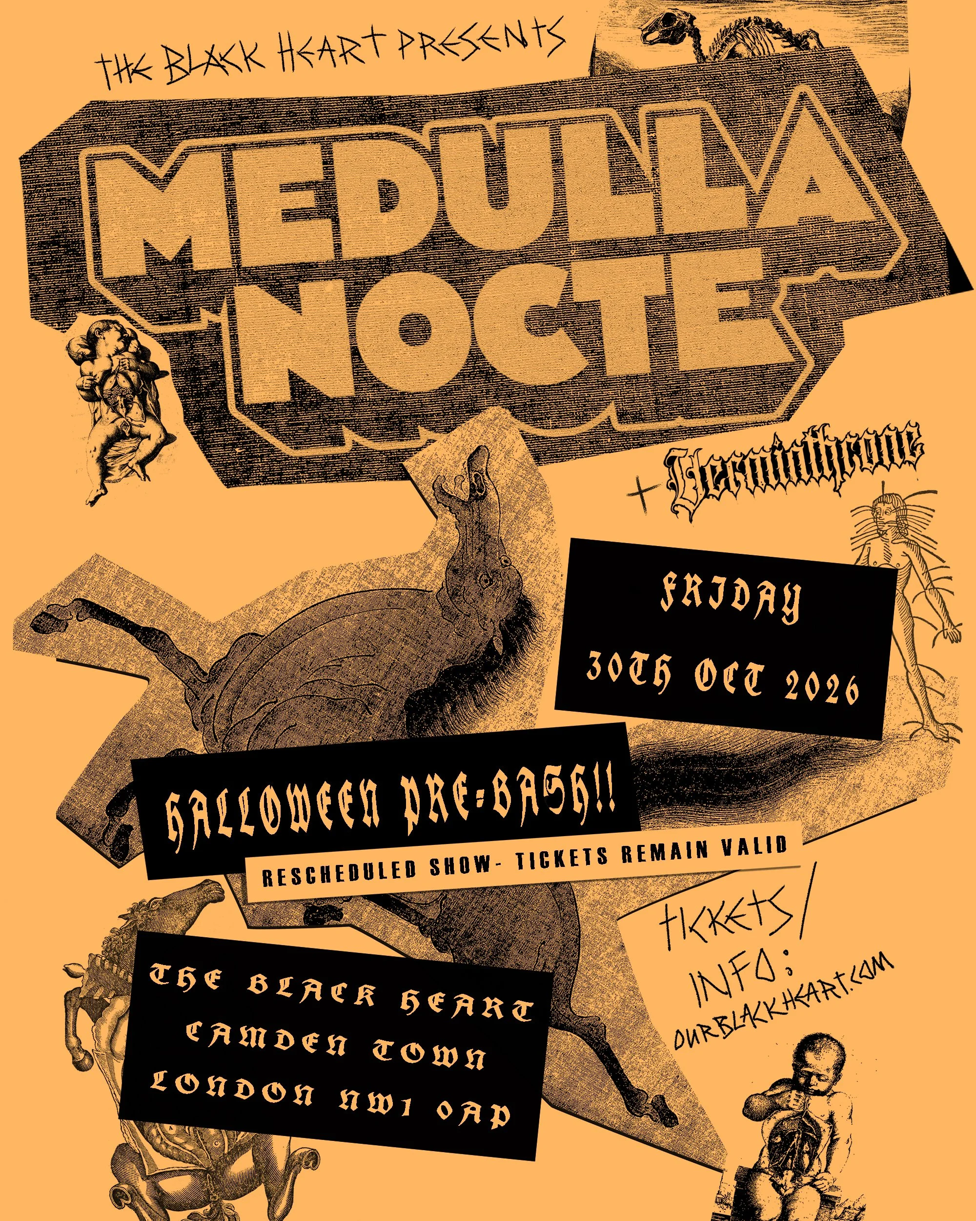 medulla nocte BH insta reschedule.jpg