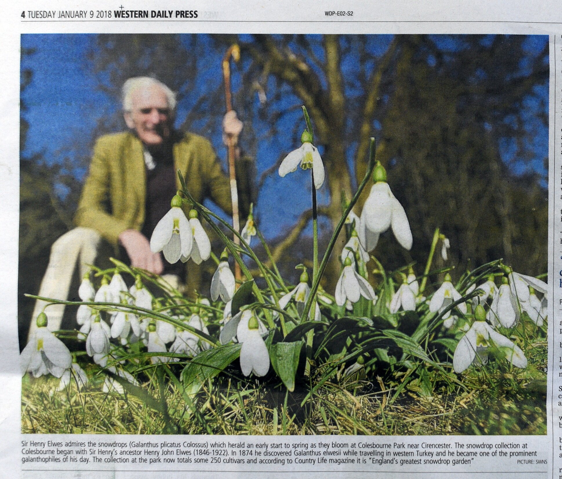 Cuttings Simon Pizzey-12.jpg