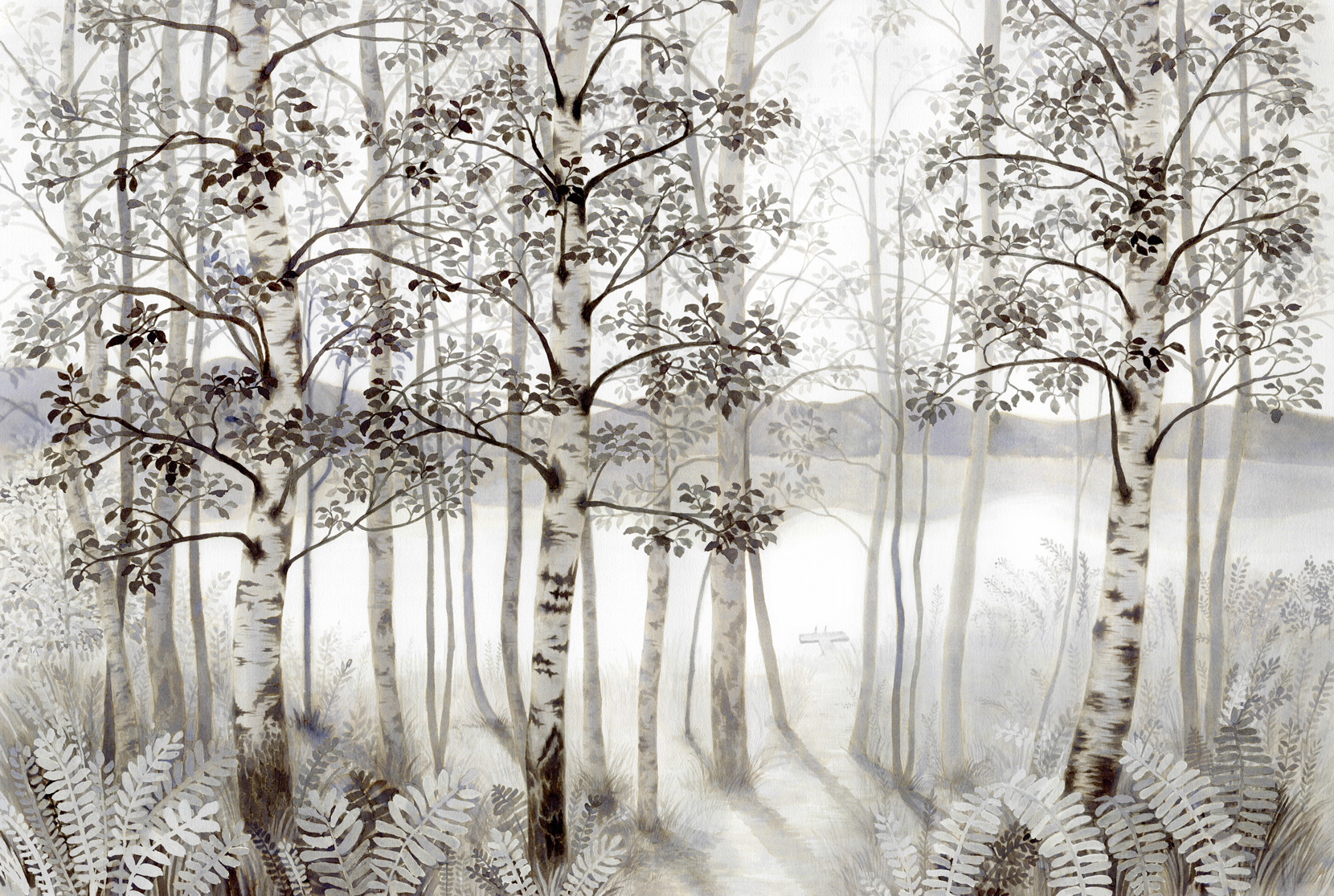 Birch trees and a lake / ink on paper / 650*460 / 2016 (Sold) 