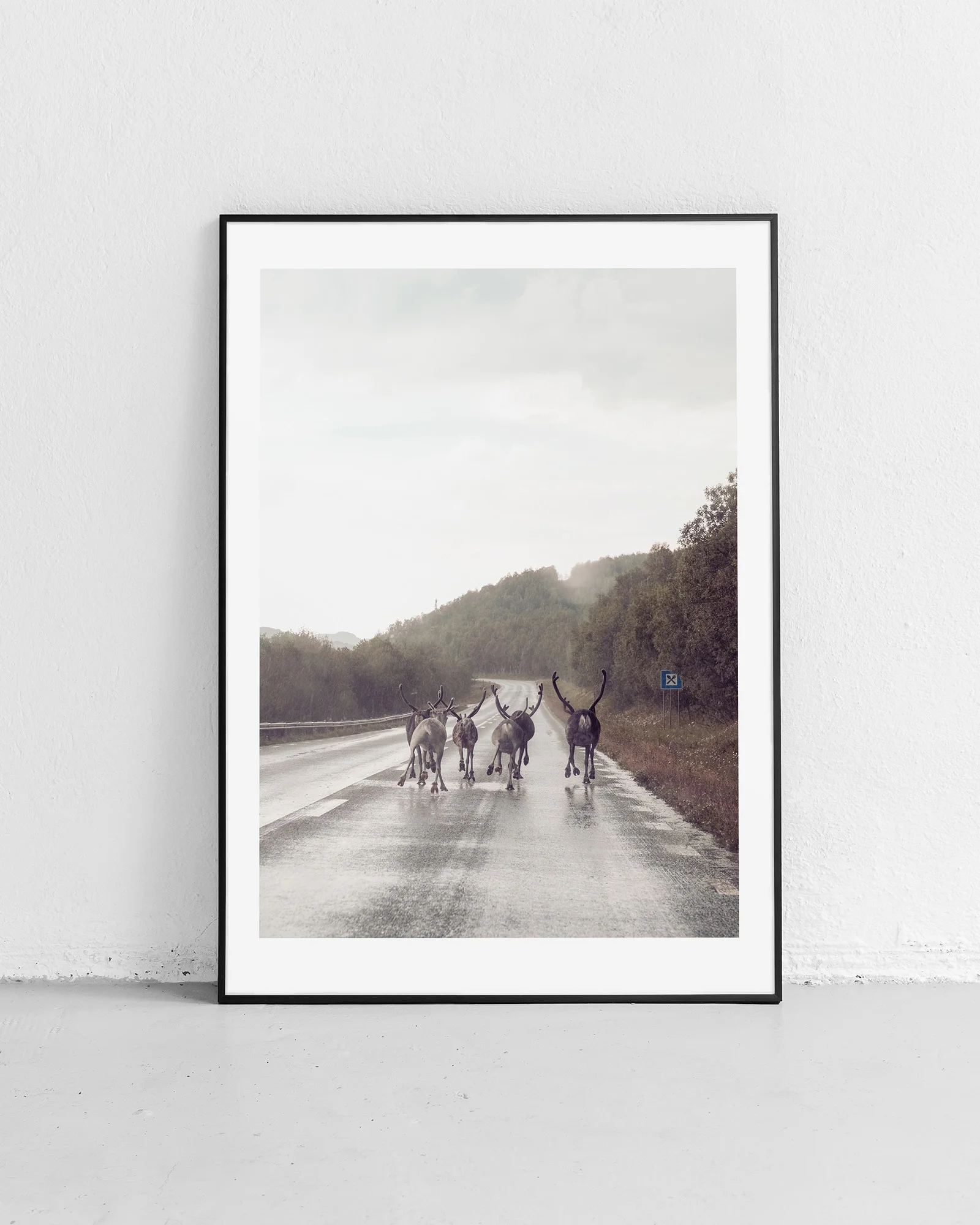 daniel-zachrisson-photography_5.jpg
