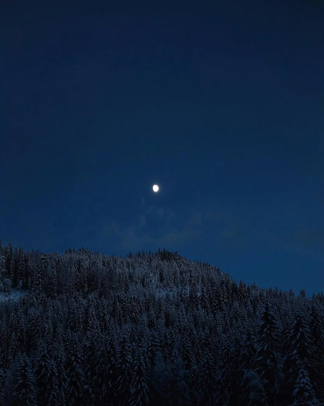 daniel_zachrisson_photography_459.jpg