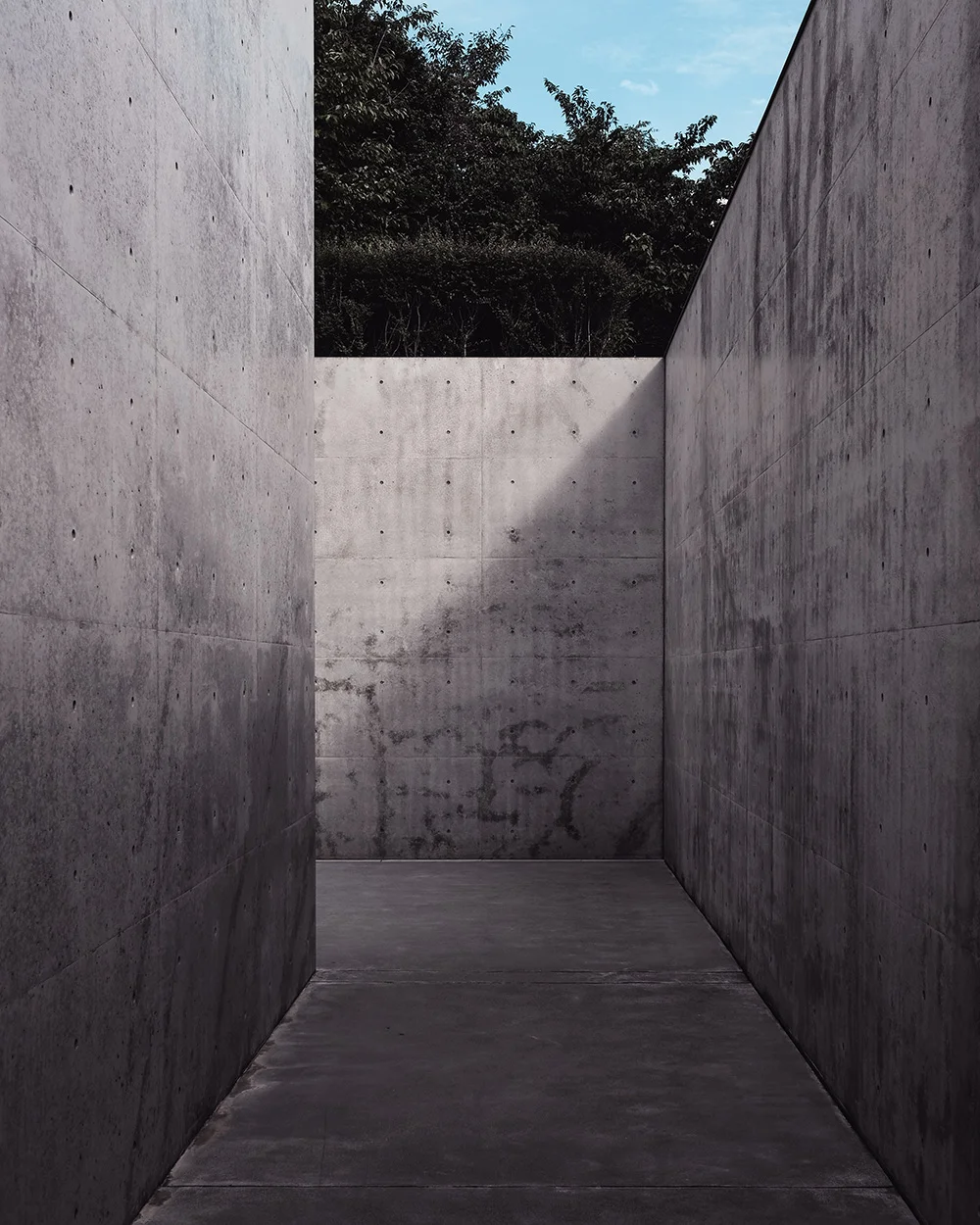 daniel_zachrisson_photography_530.jpg