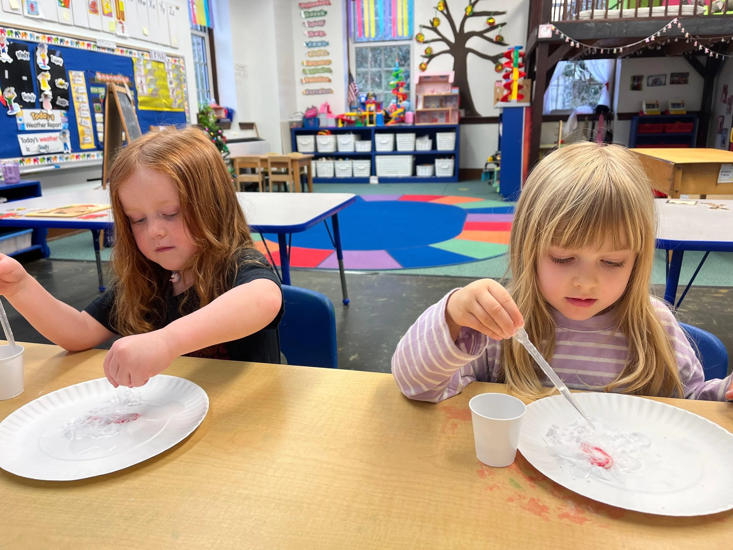 After School Enrichments.jpg