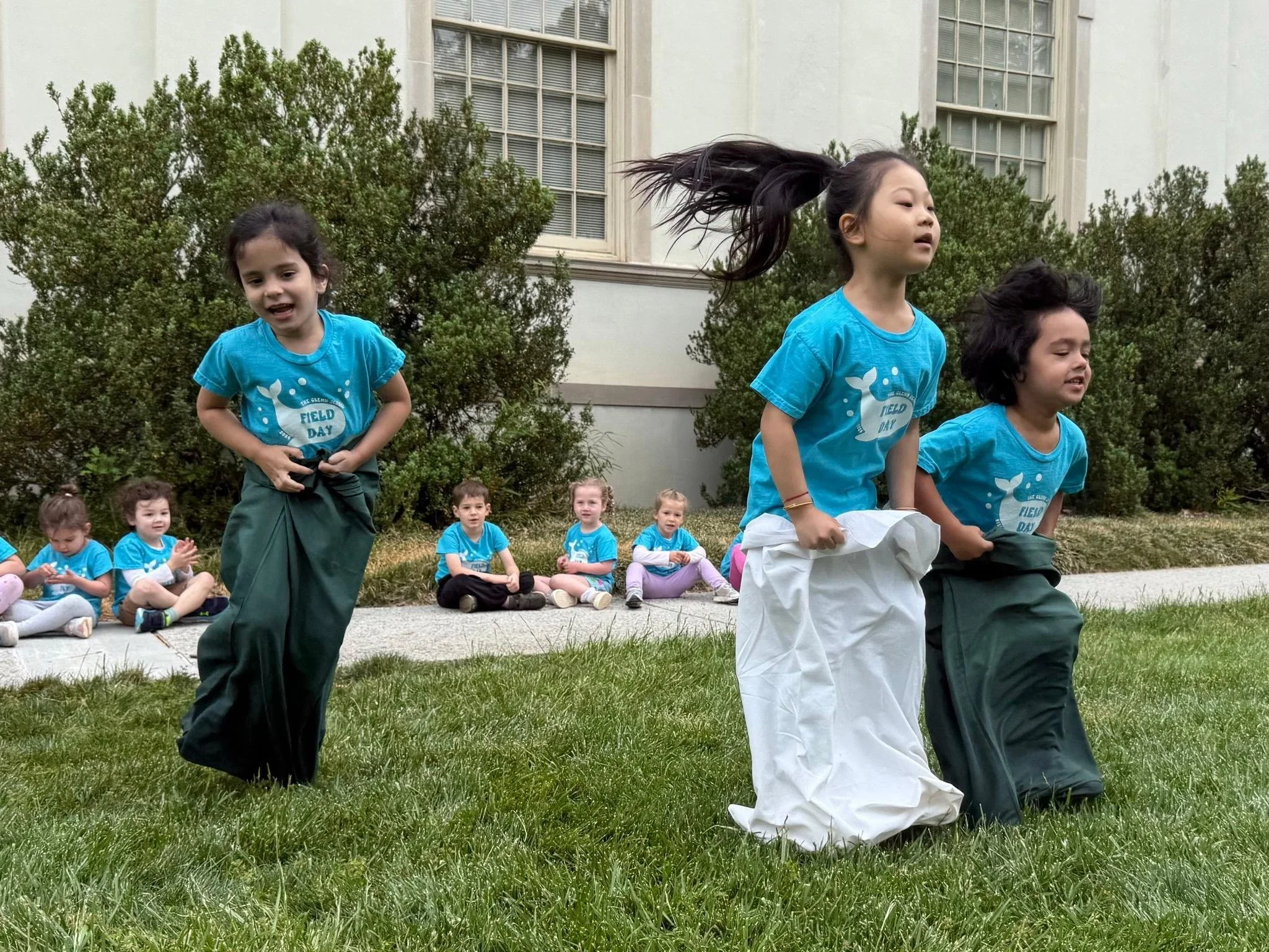 Field Day Whales.jpg