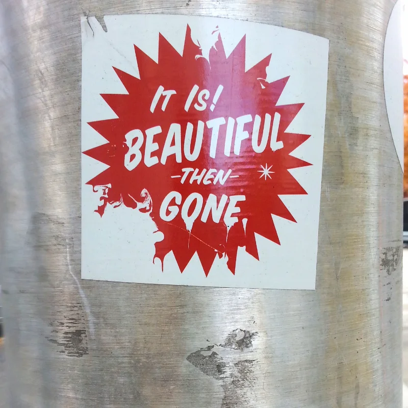 truth (sonya kovacic)