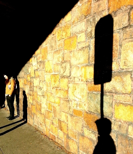 waiting for the 66 under the jamaicaway overpass (sonya kovacic)